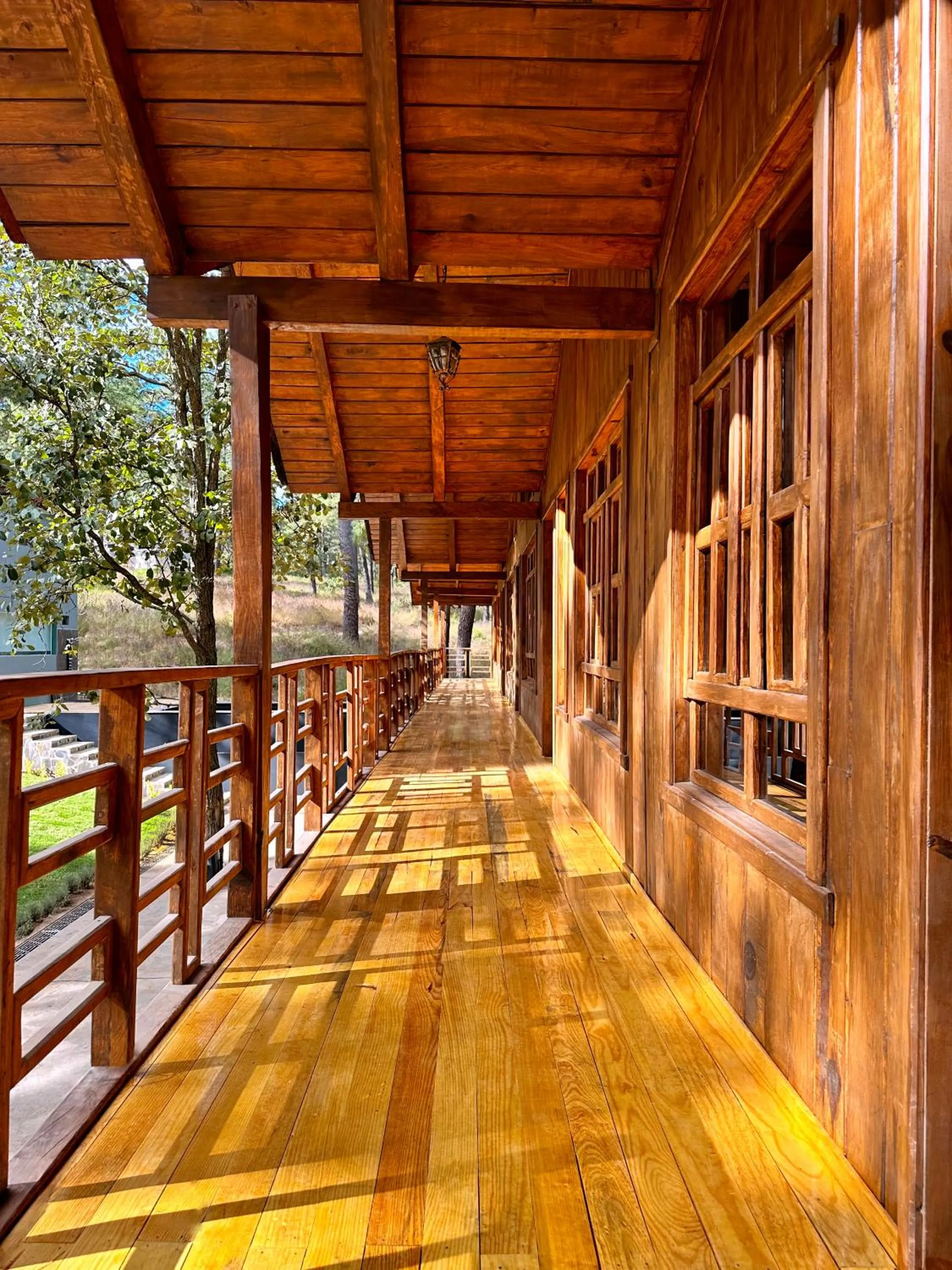 View (from property/room) in PINE TREE Mazamitla Hotel Boutique & Cabañas