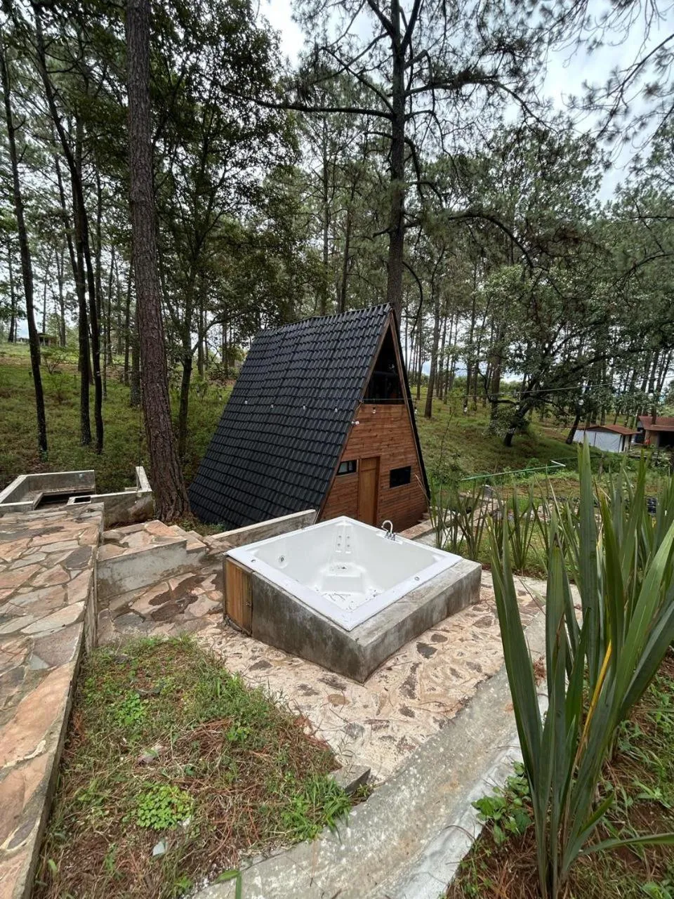 Off site in PINE TREE Mazamitla Hotel Boutique & Cabañas