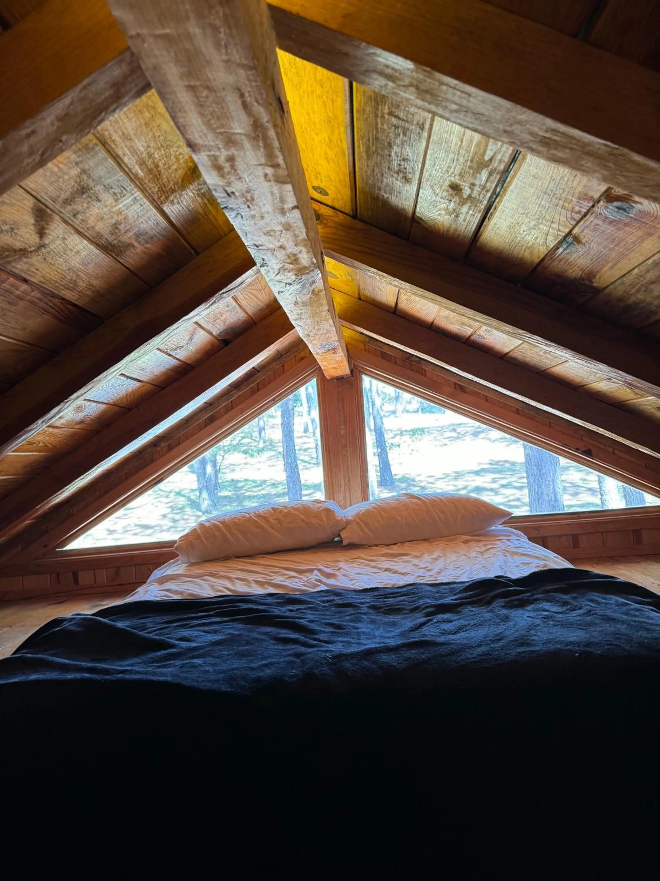 Bed in PINE TREE Mazamitla Hotel Boutique & Cabañas