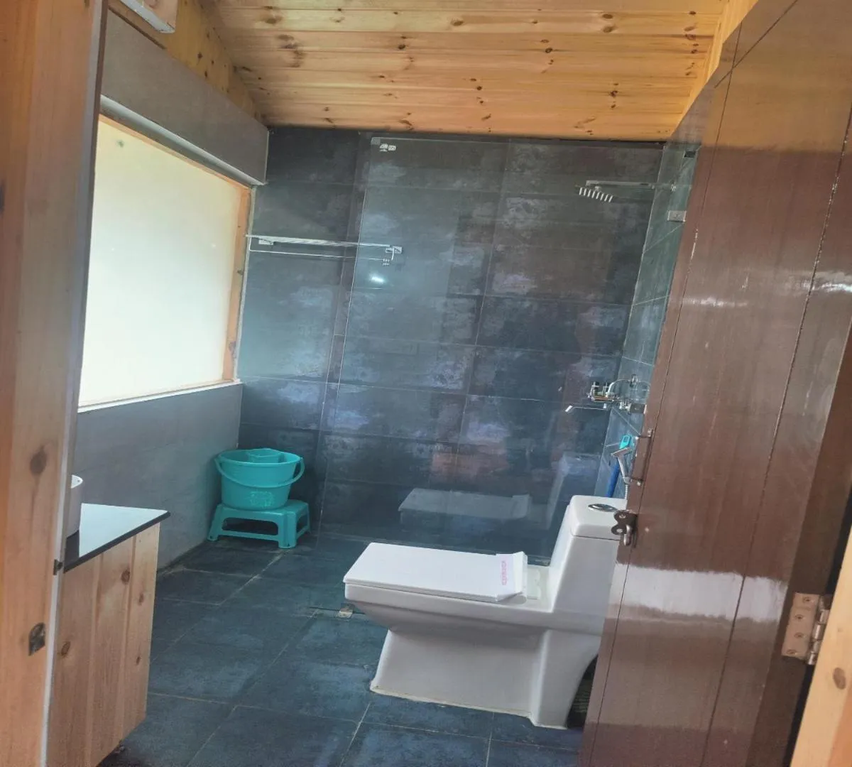 Shower in LaSerene The Cottage - Pangoot