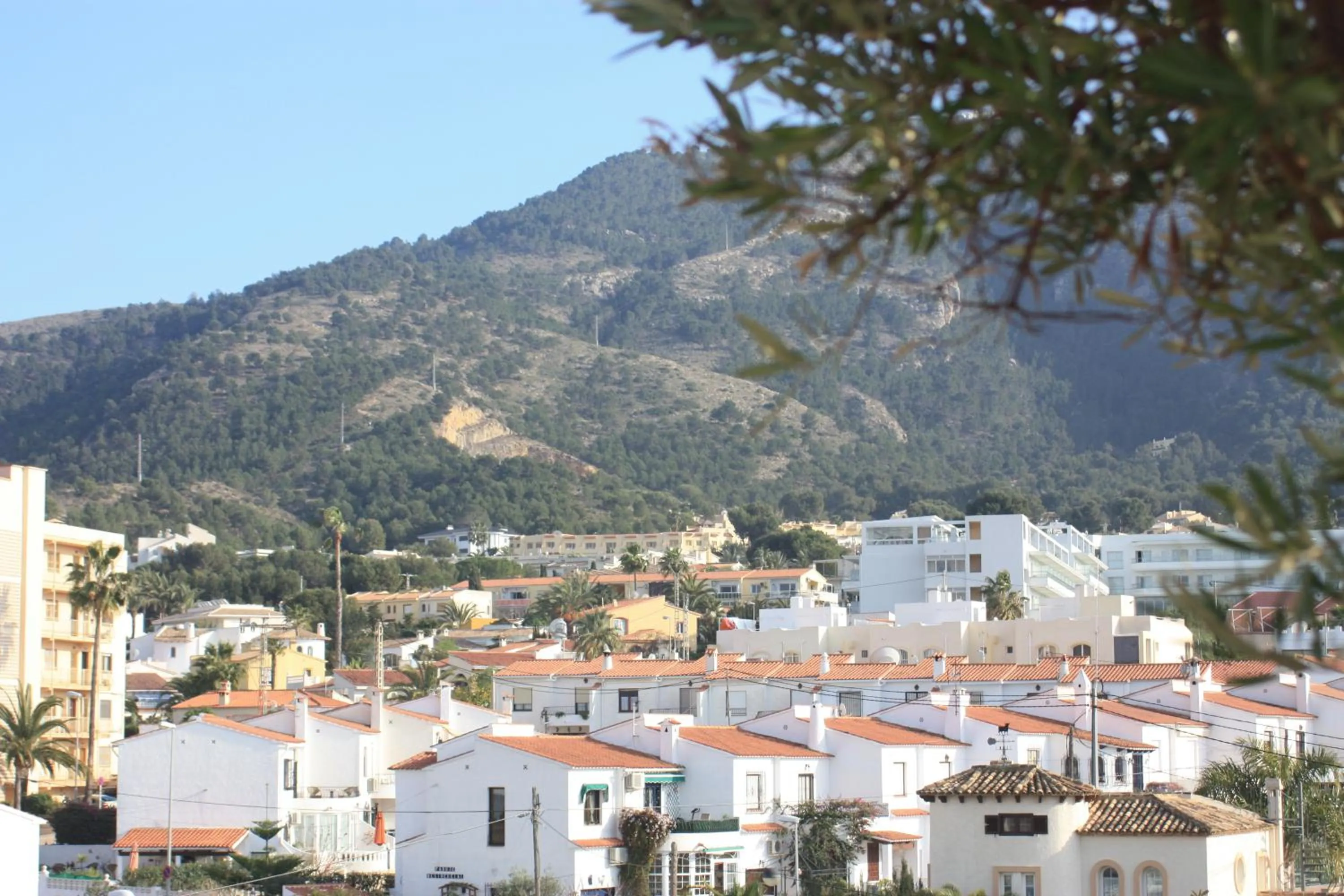 Area and facilities in Hotel Rober Palas