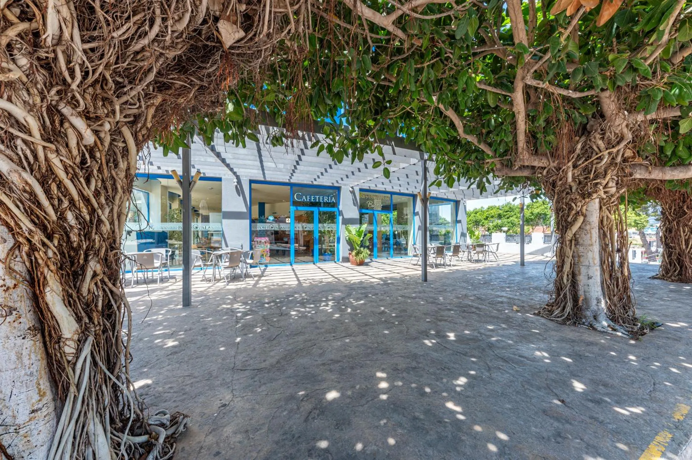 Spring in Hotel Rober Palas