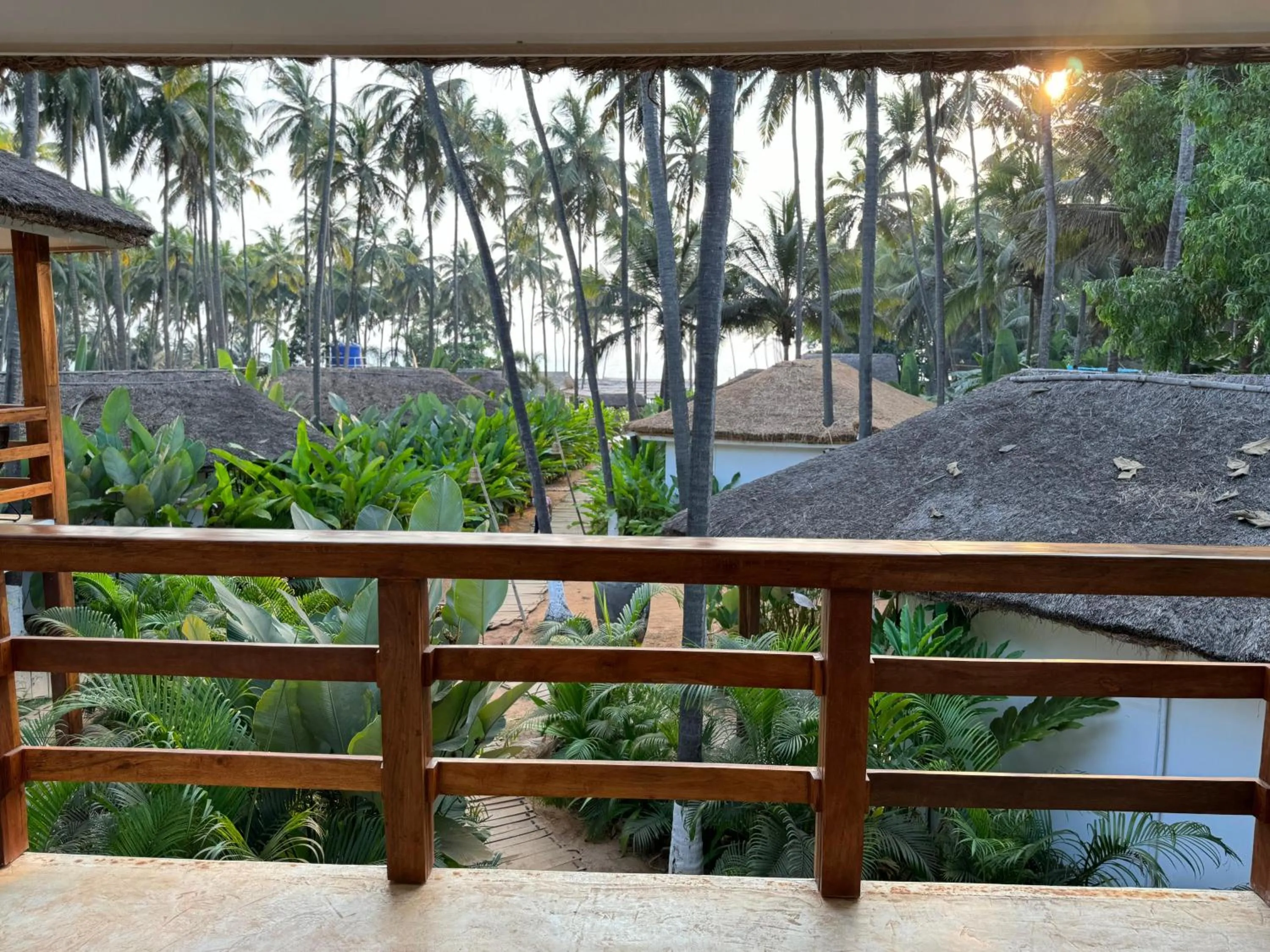 Natural landscape in Thalassa Beach Boutique Resort