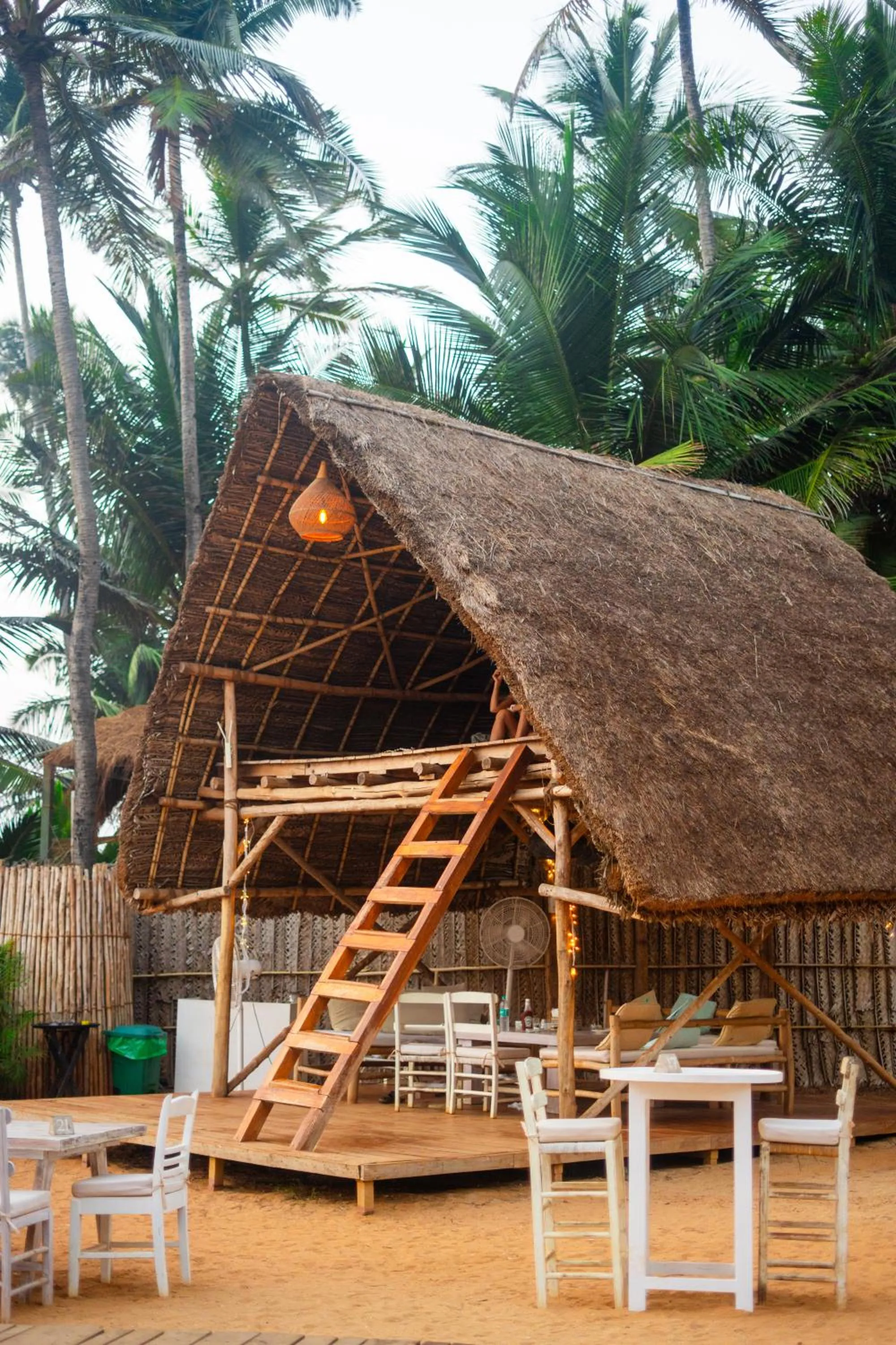 Restaurant/places to eat in Thalassa Beach Boutique Resort