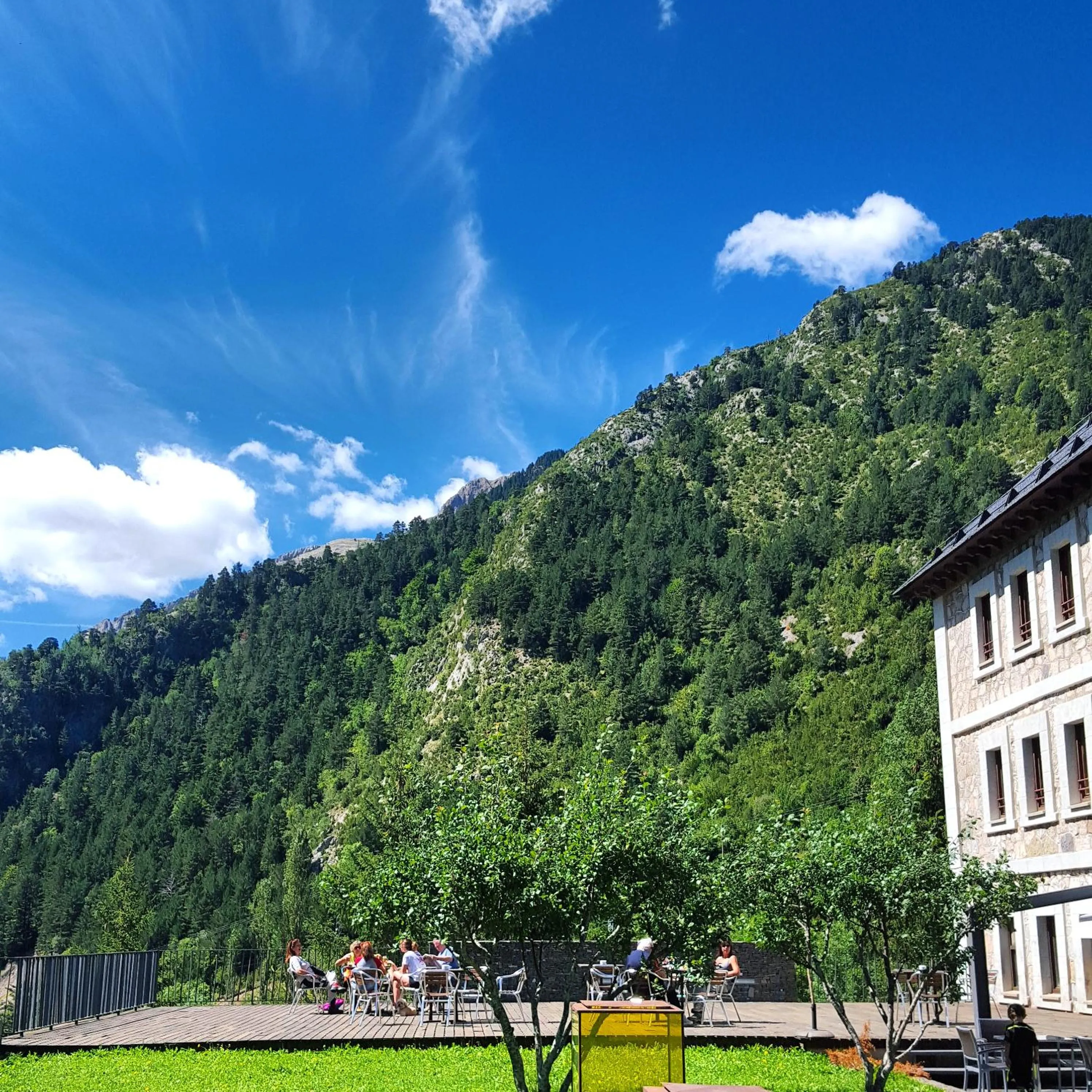 Garden in Hotel Santa Cristina Petit Spa