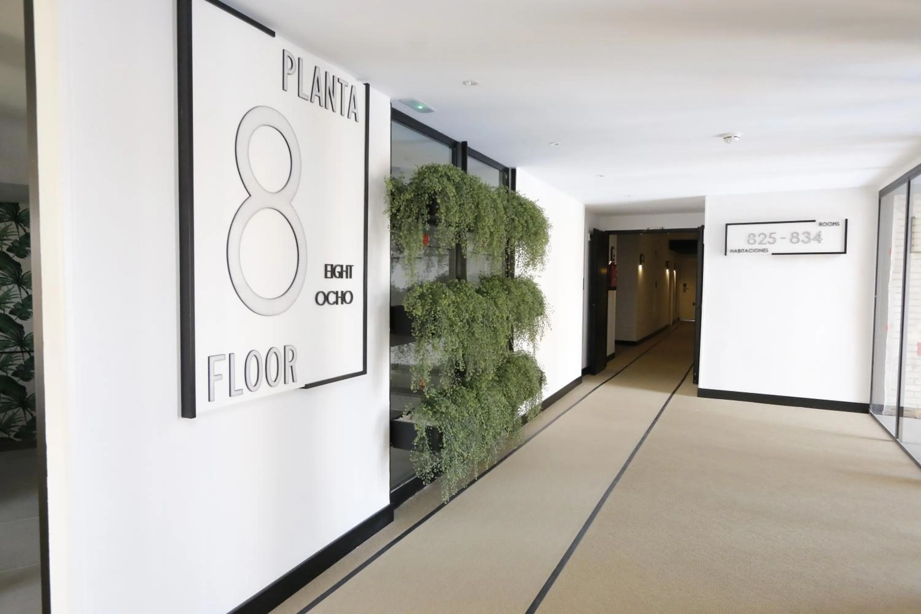 Area and facilities in Medplaya Hotel Rio Park