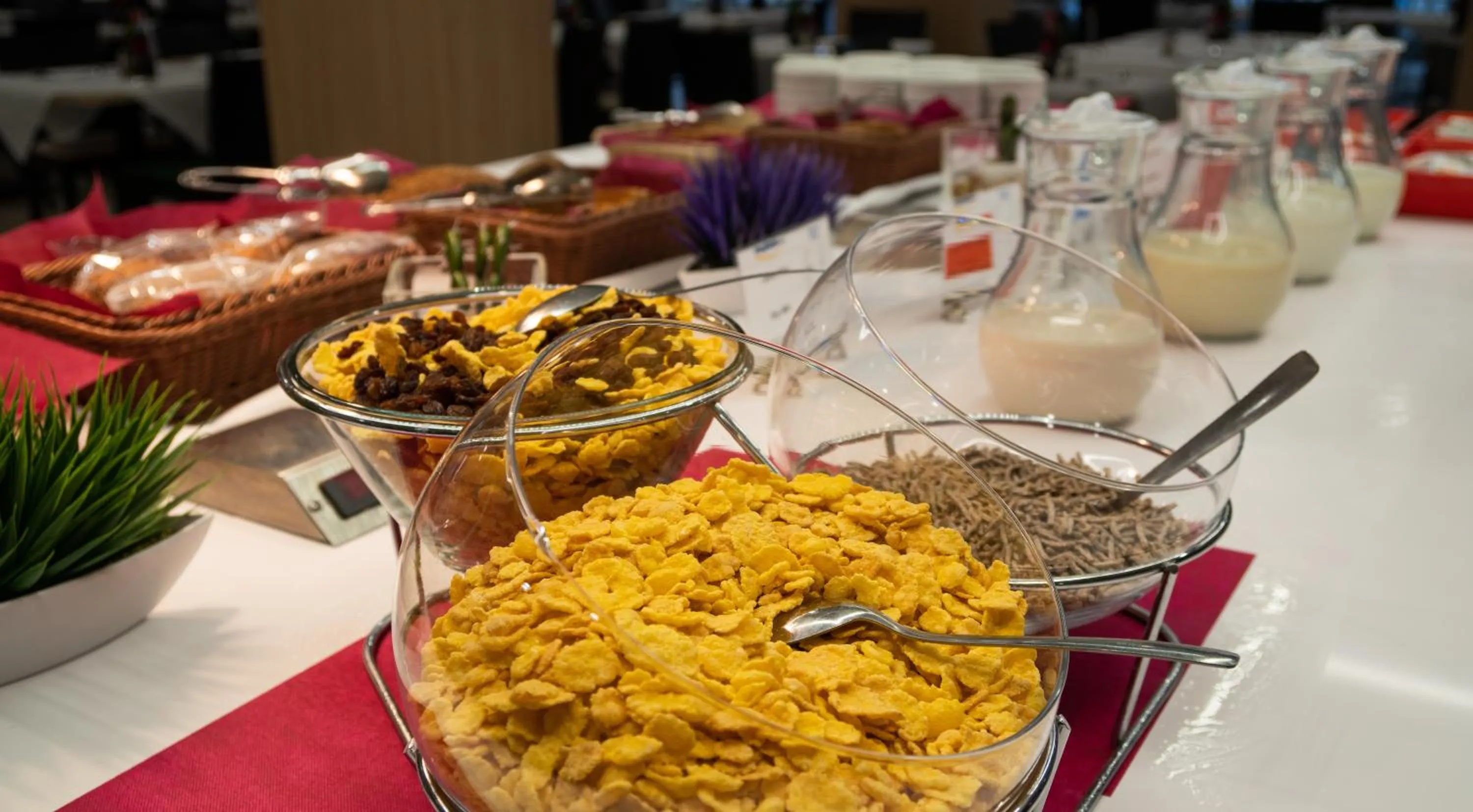 Restaurant/places to eat in Medplaya Hotel Rio Park