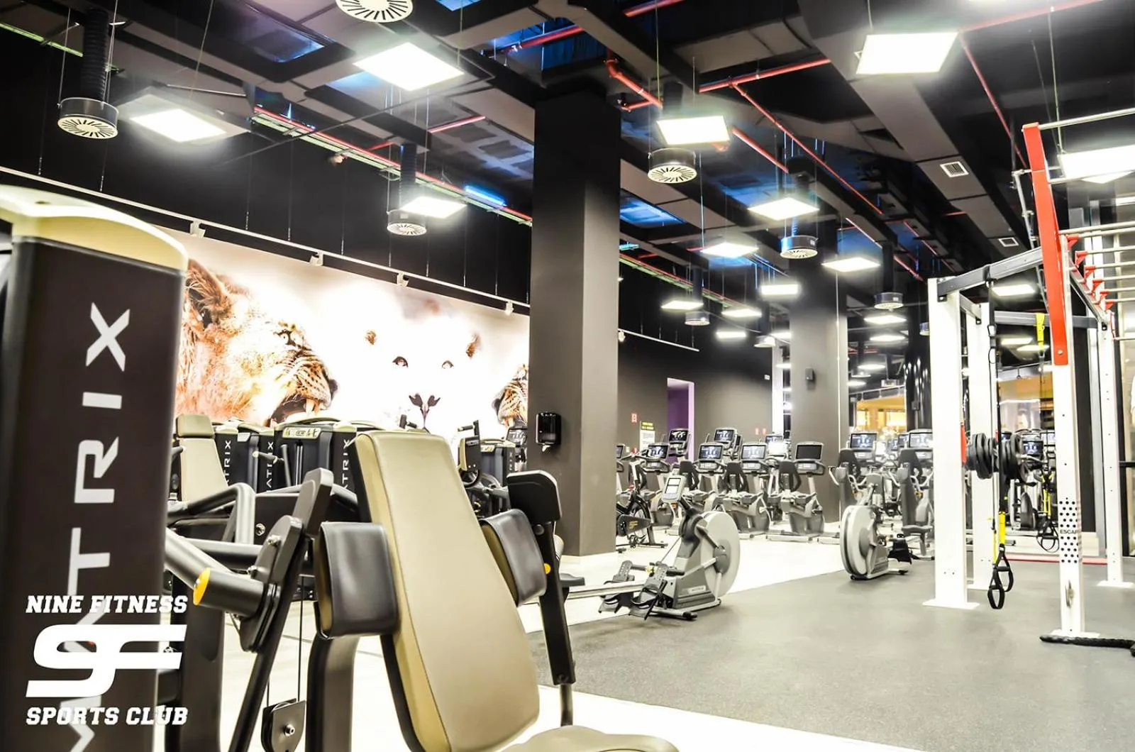 Fitness centre/facilities in Sercotel Princesa De Eboli