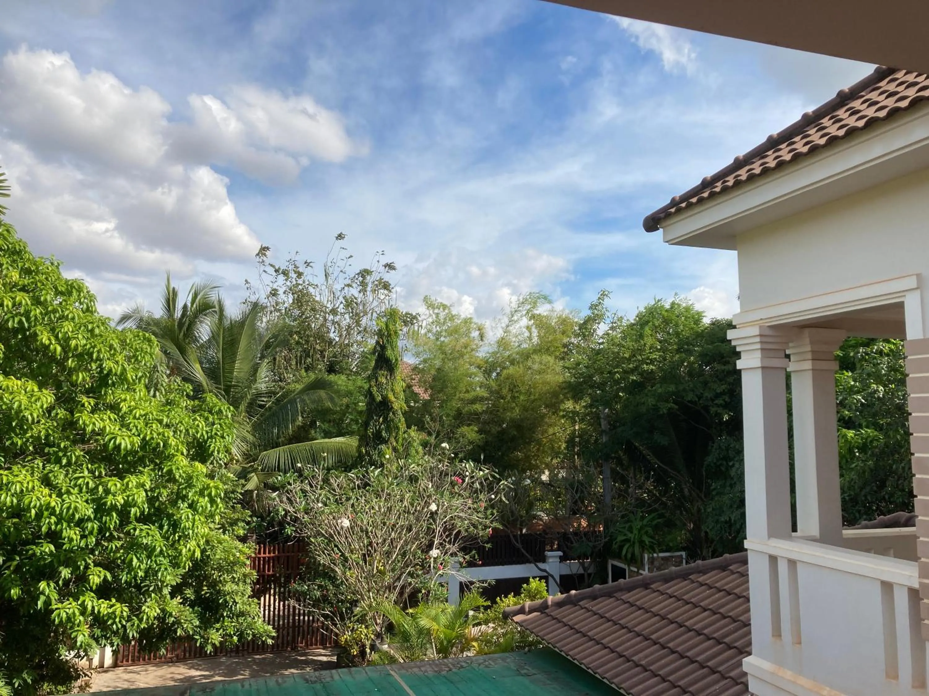 Garden view in Lily Pad Boutique Hotel