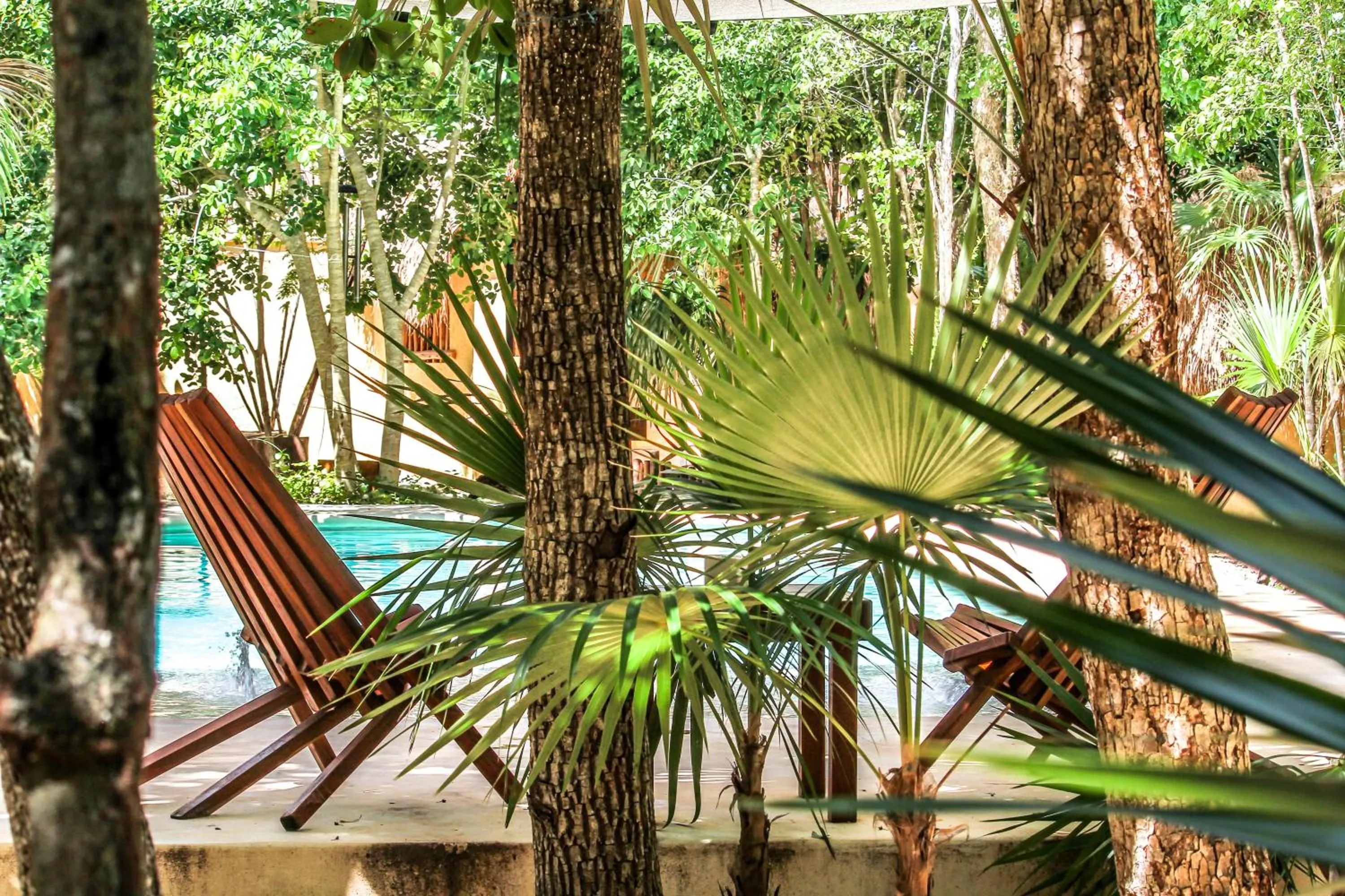 Spring in Aldea Xaan Ha Tulum