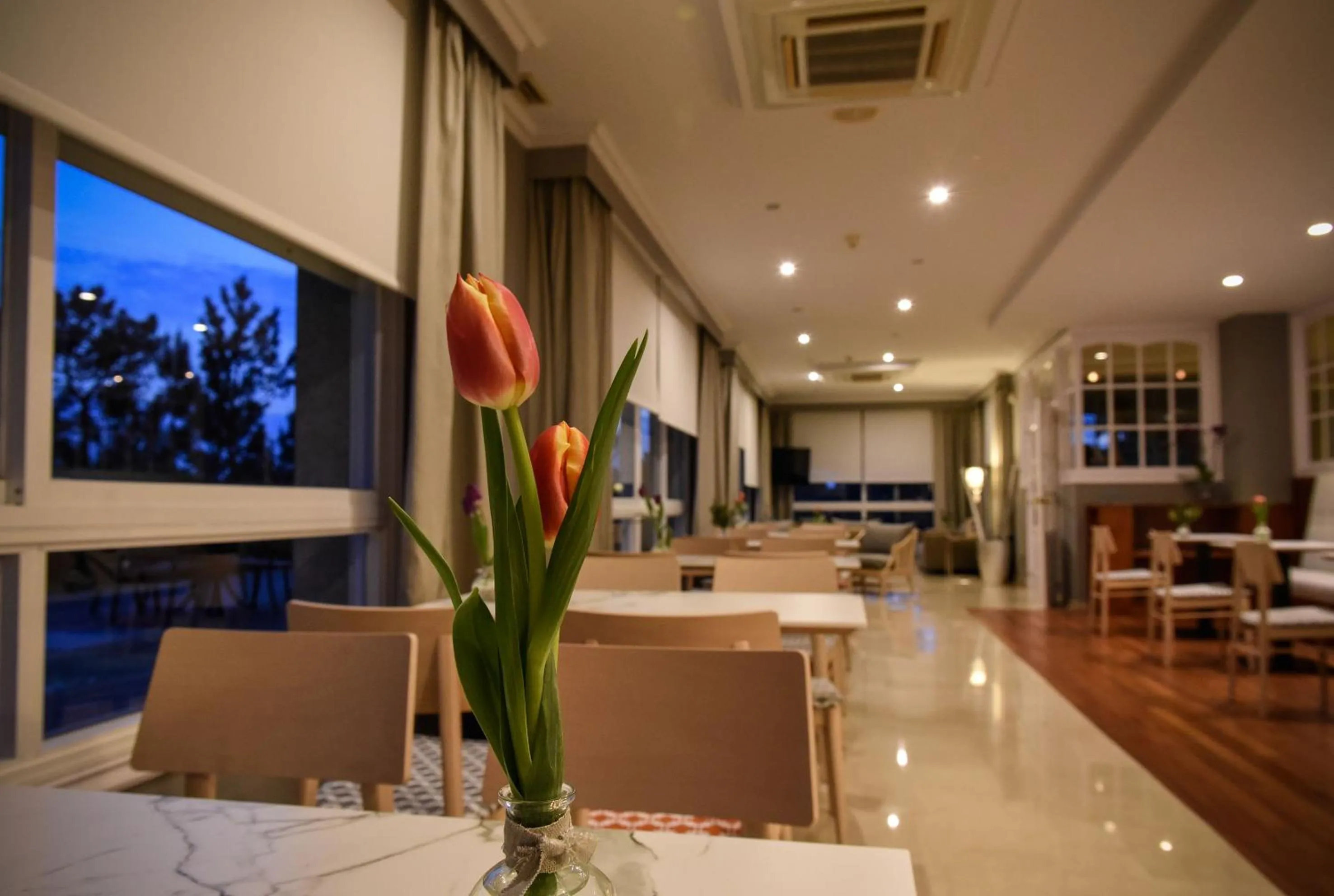 Other in Hotel Spa Atlántico San Vicente do Mar