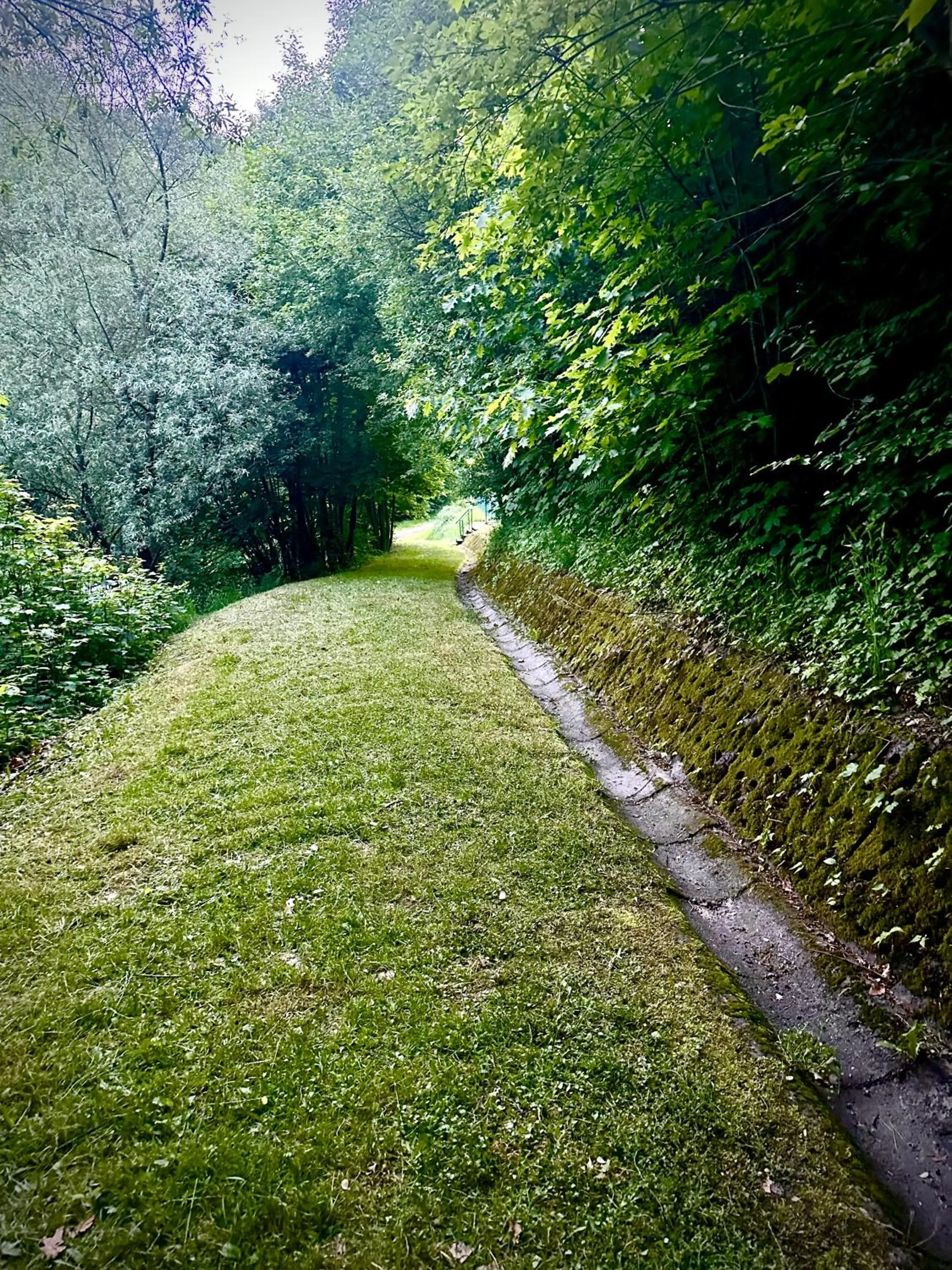 Garden in Solis Centrum Wellness i Rehabilitacja