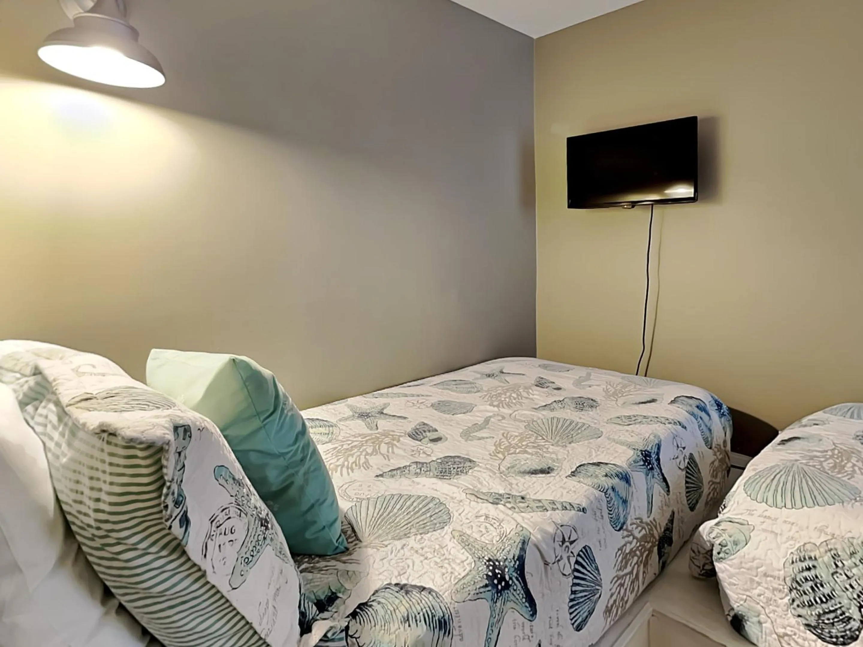 Bed in Colony Reef 3102