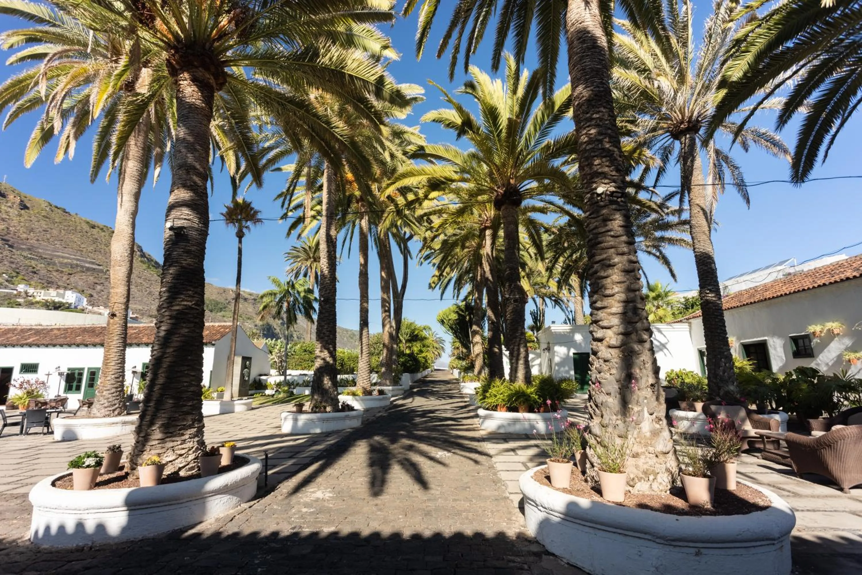 Patio in Hotel El Patio