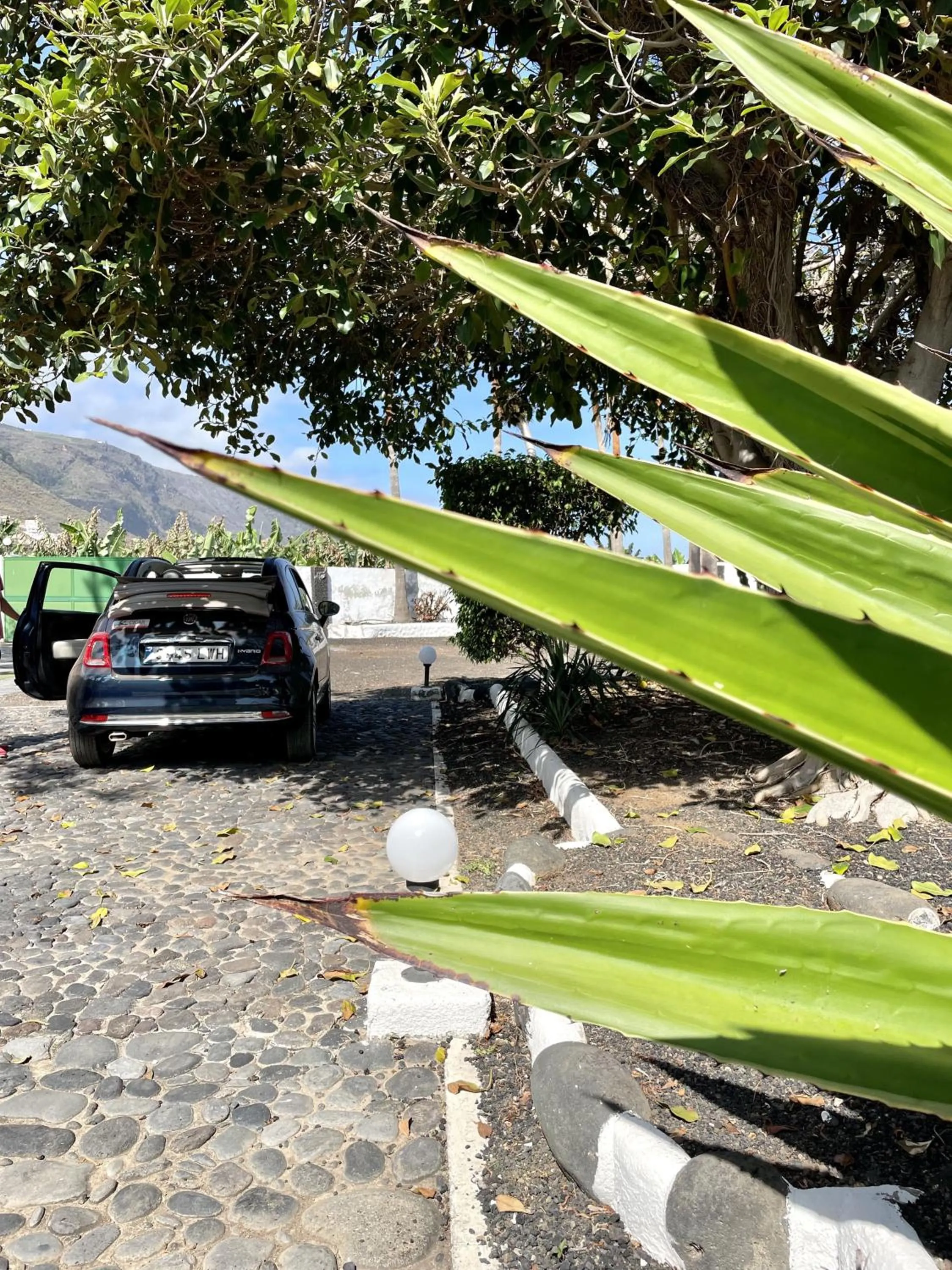 Garden view in Hotel El Patio