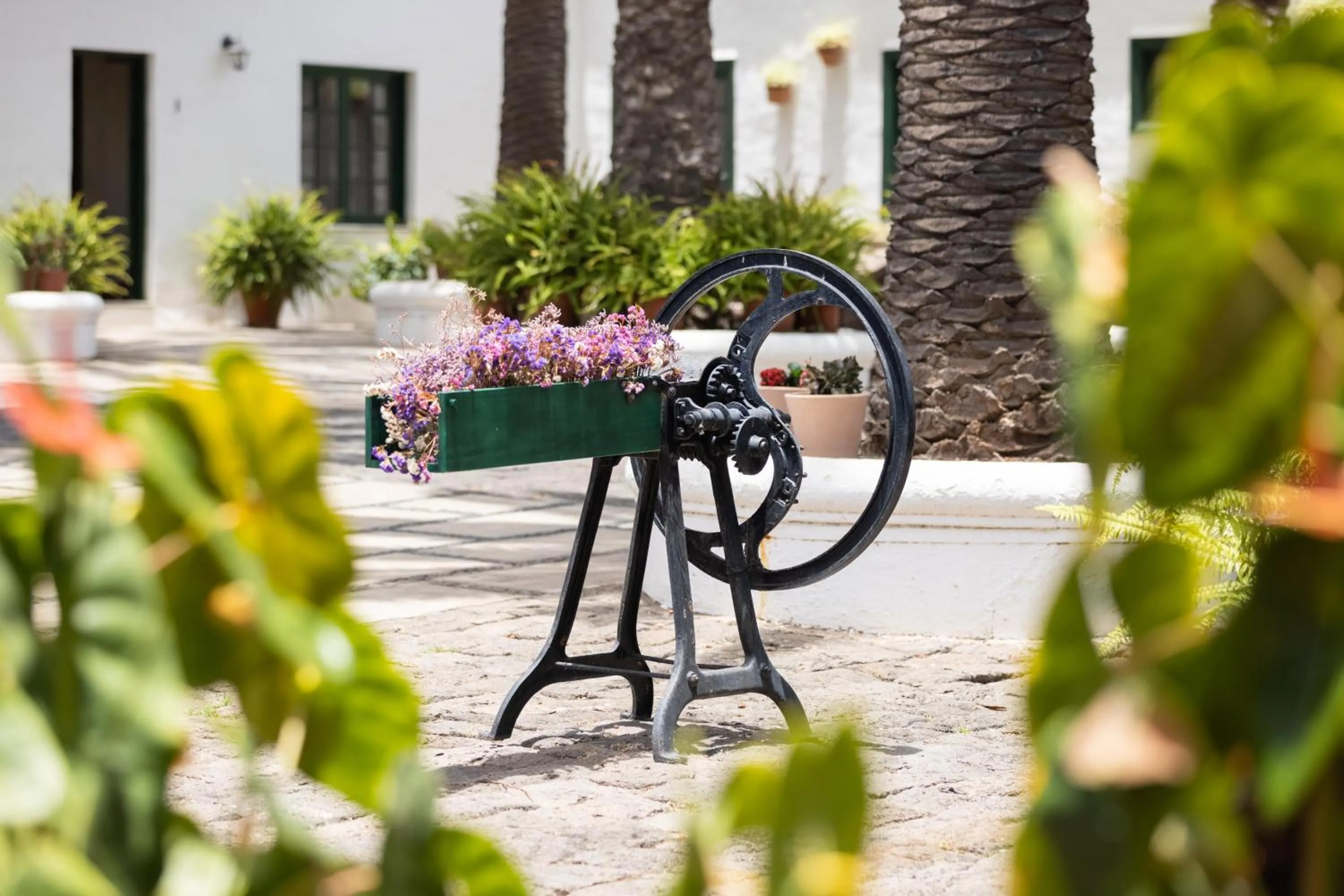 Patio in Hotel El Patio