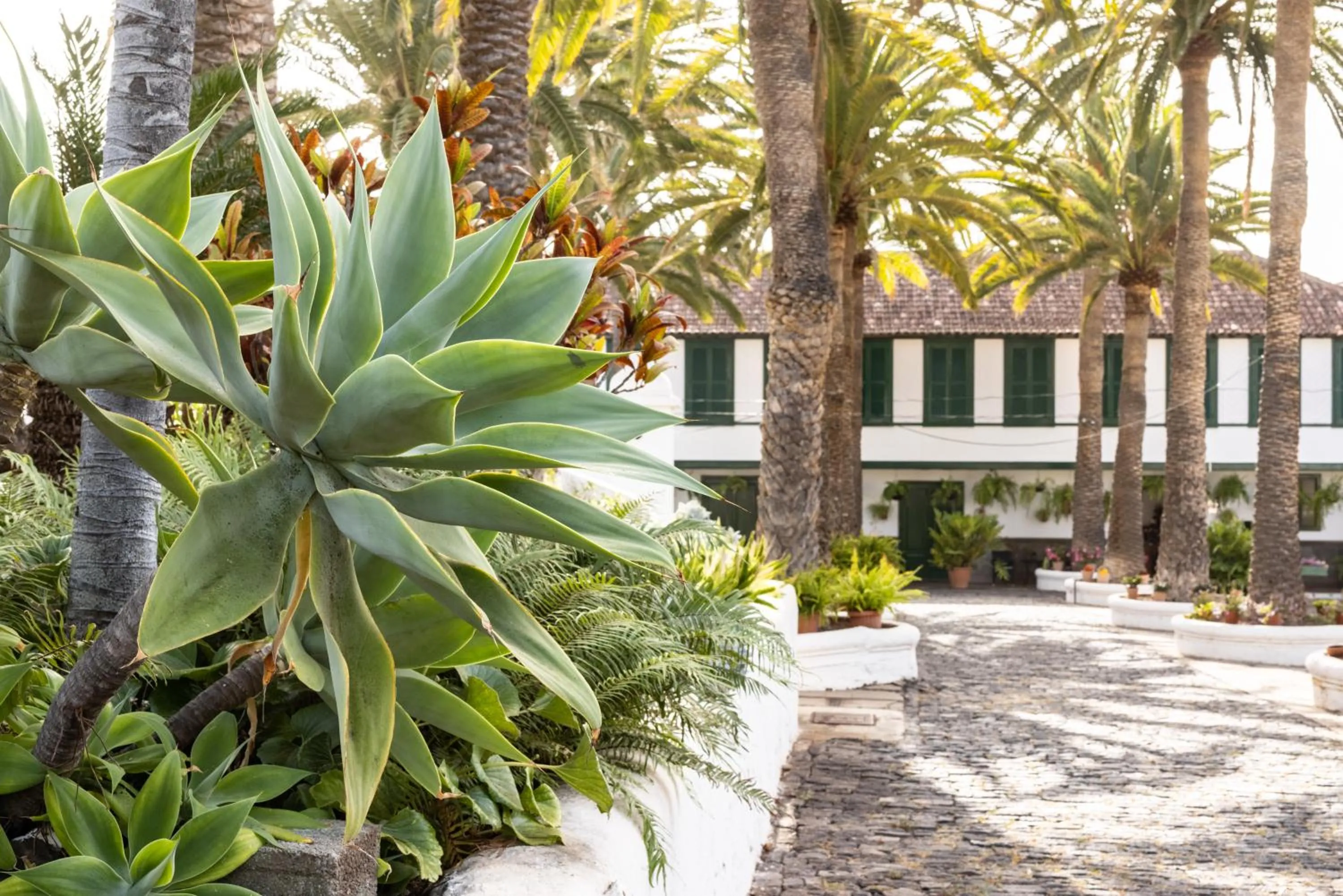 Patio in Hotel El Patio