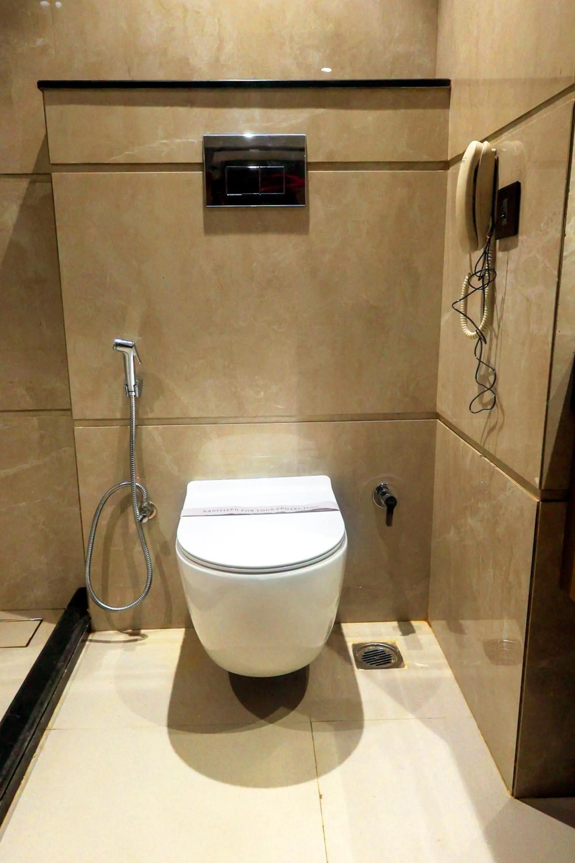 Toilet in Hotel Kant Palace