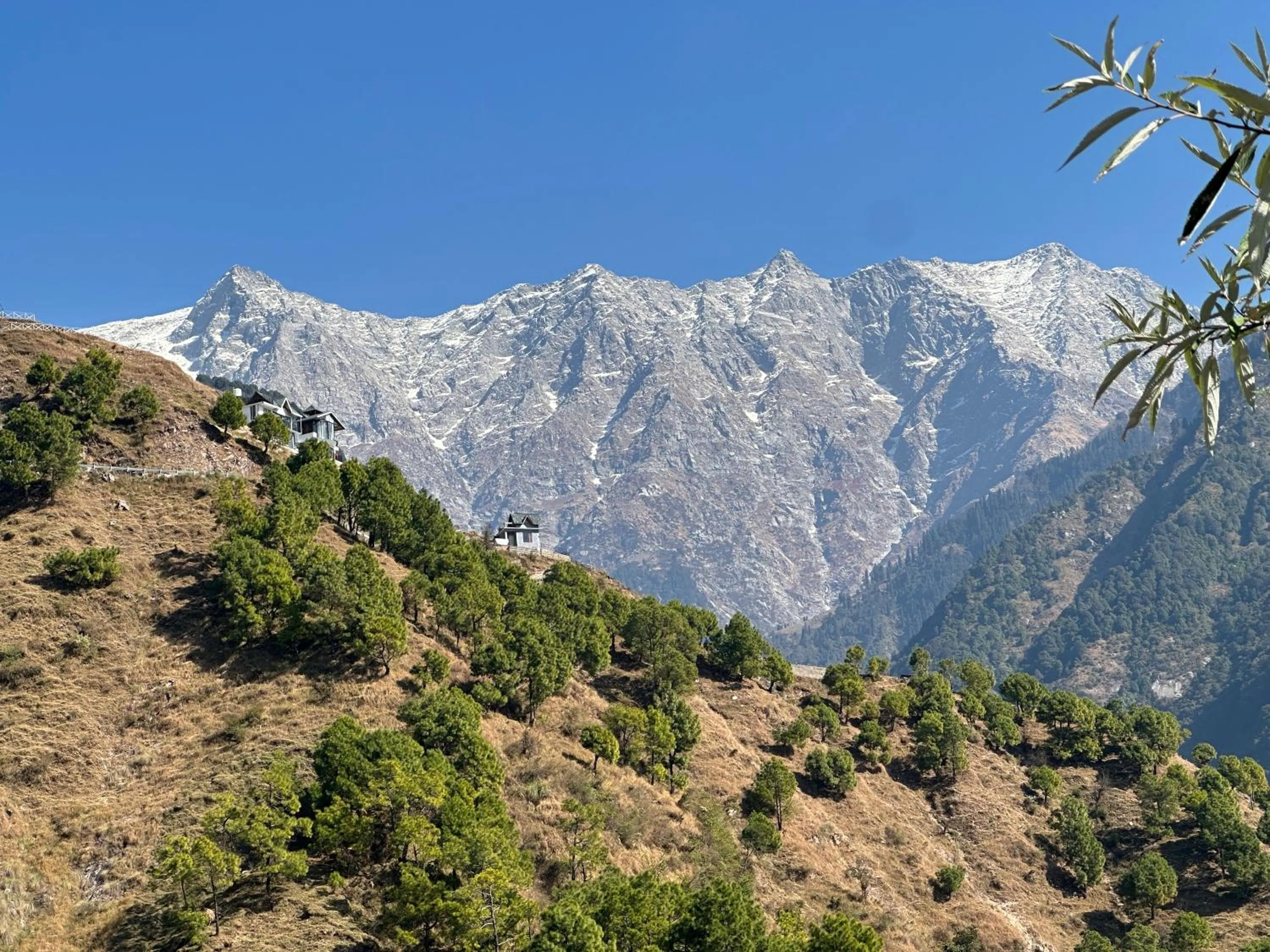 Property building in Snow Biscuit Mountain Resort