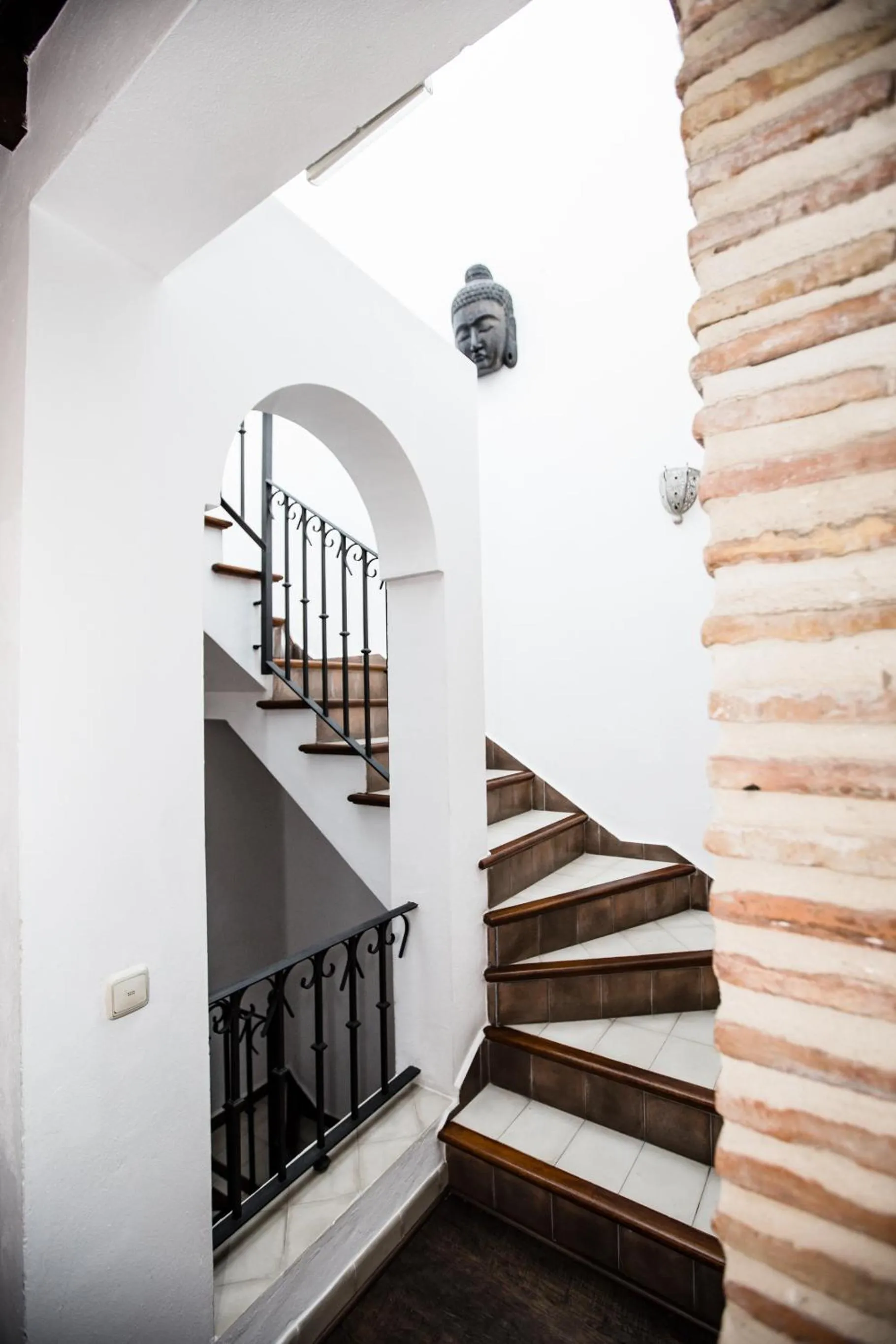 Patio, Balcony/Terrace in Vagamundos