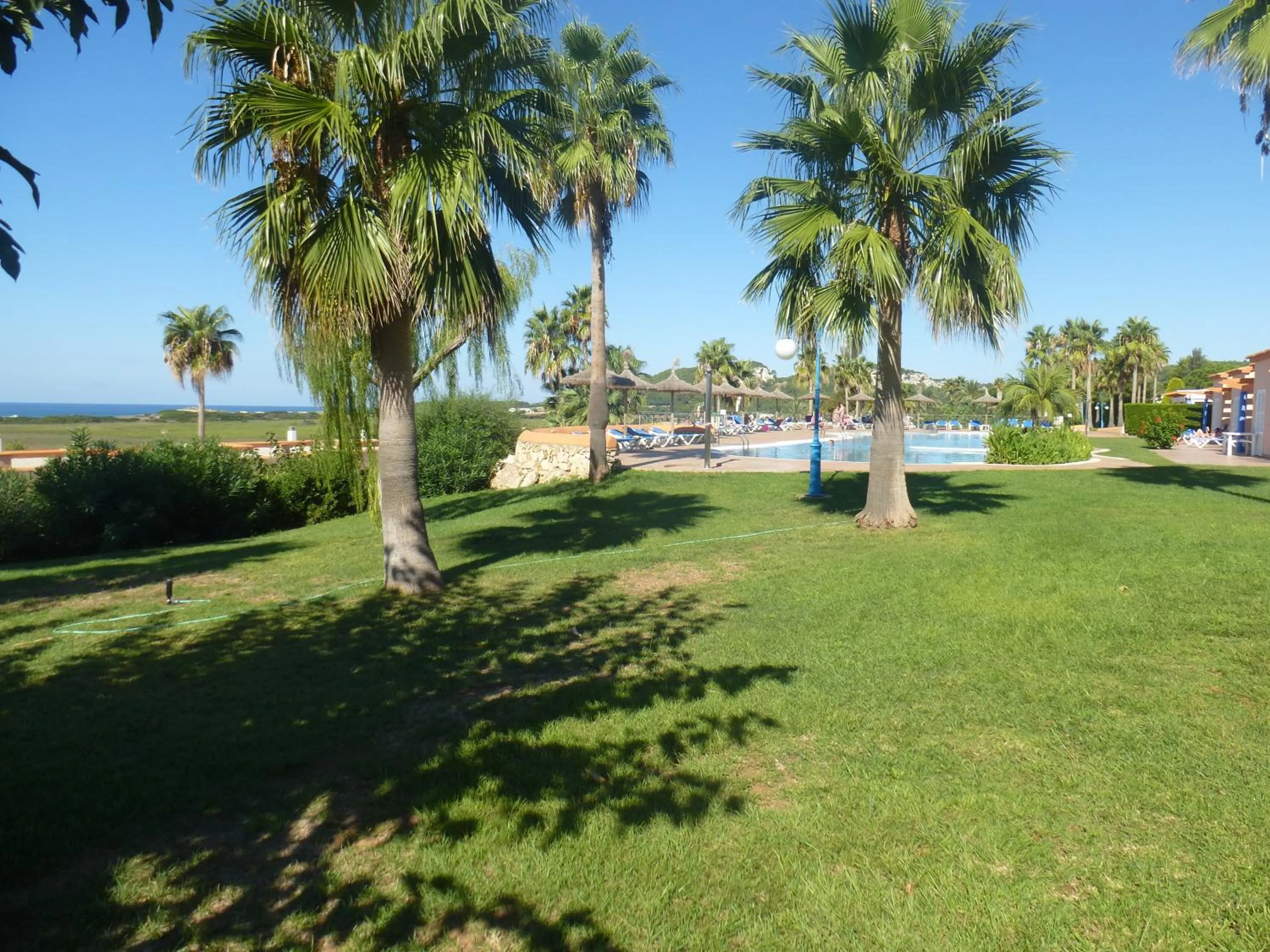 Garden in Apartamentos Mar Blau