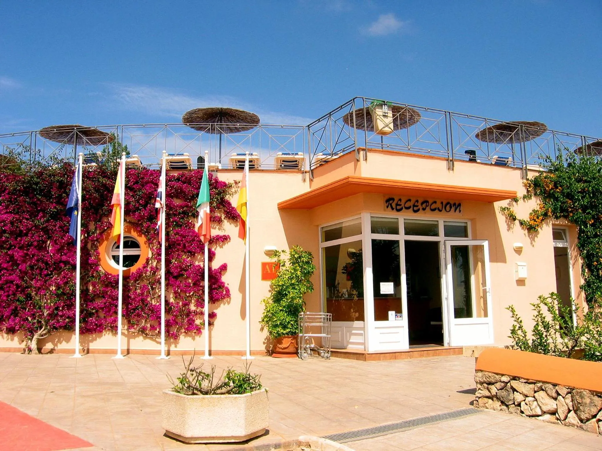 Area and facilities in Apartamentos Mar Blau