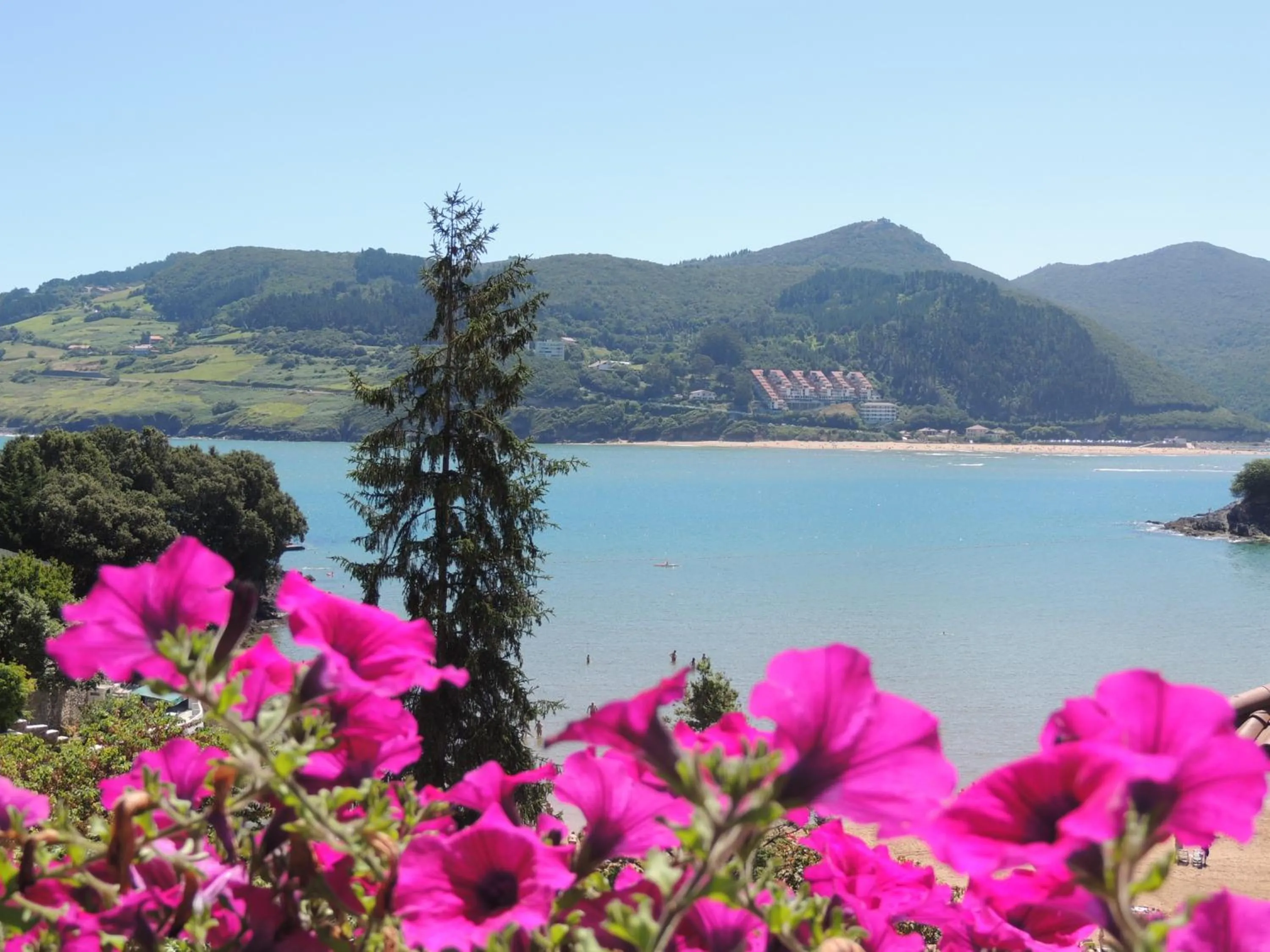Sea view in Apartamentos Mundaka