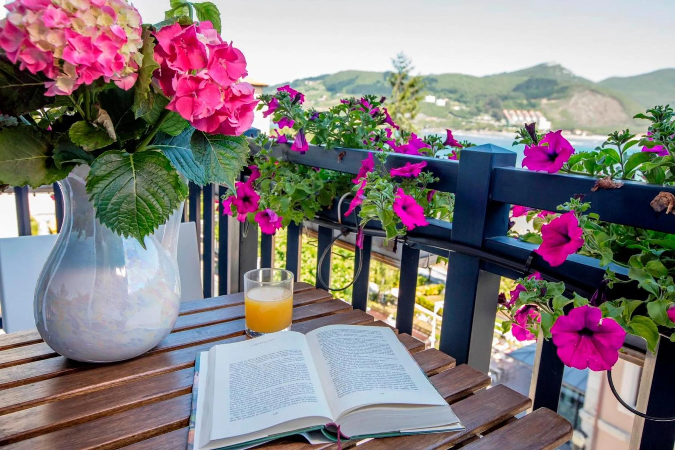 Sea view in Apartamentos Mundaka