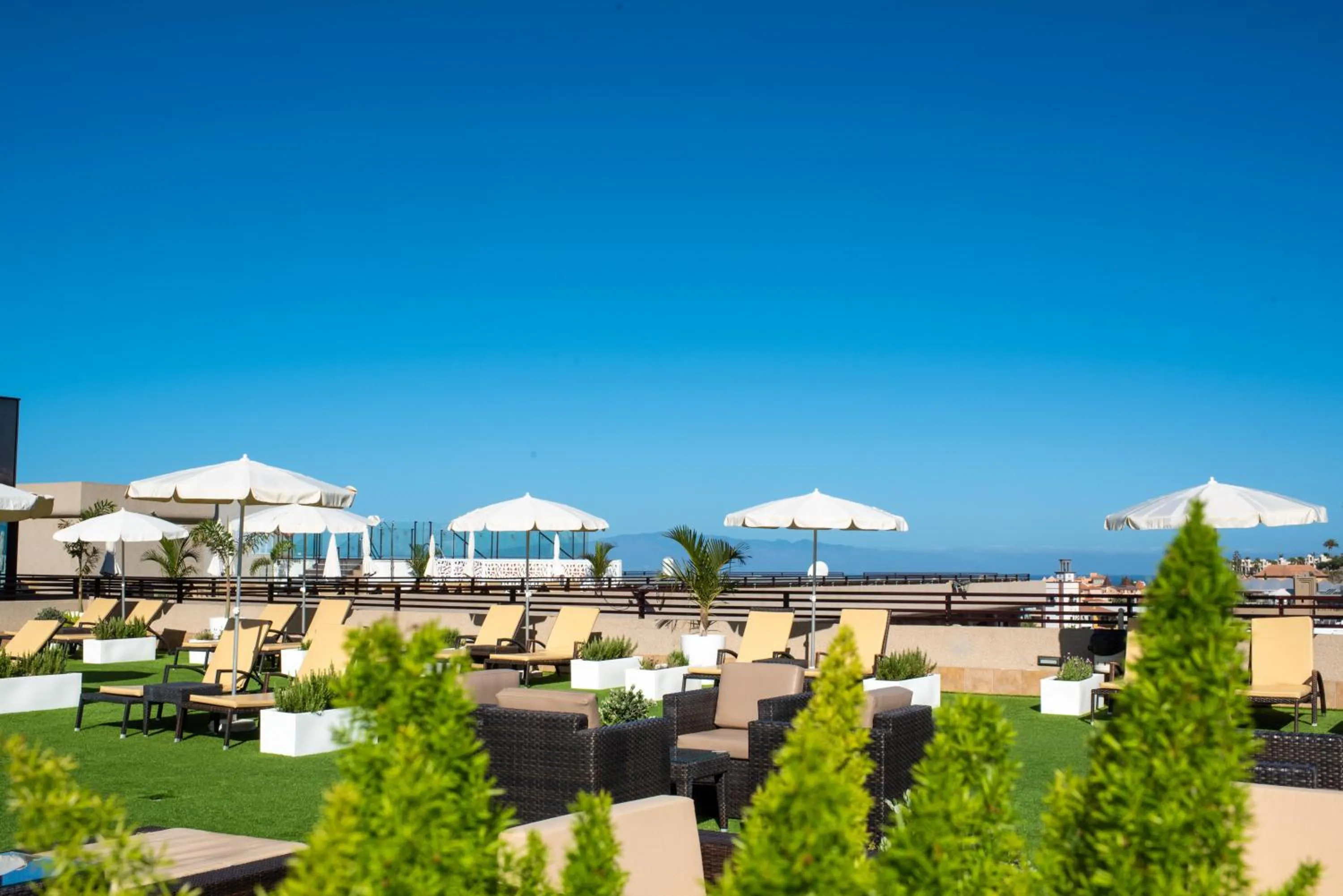 Garden in GF Fañabe