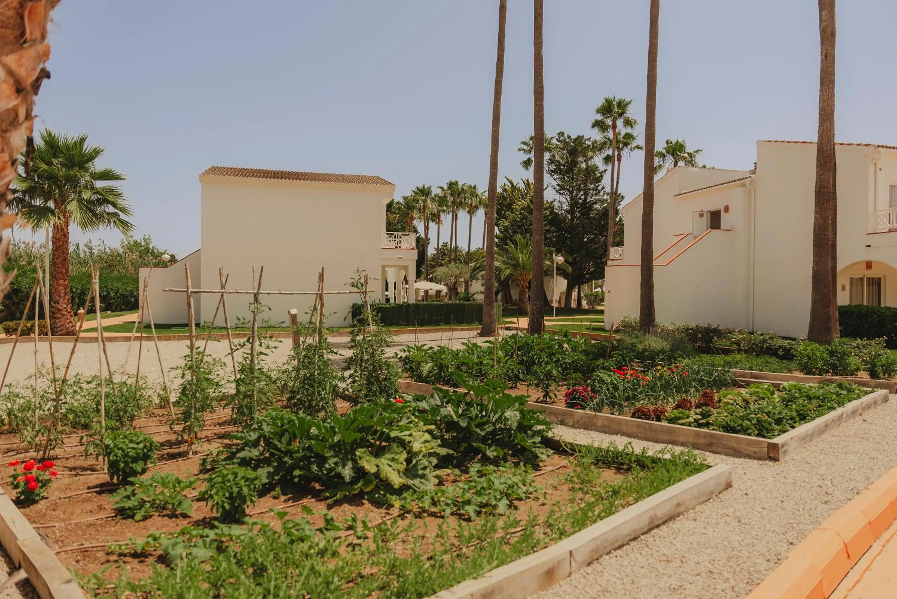 Garden in Garden Saladina - Adults Only