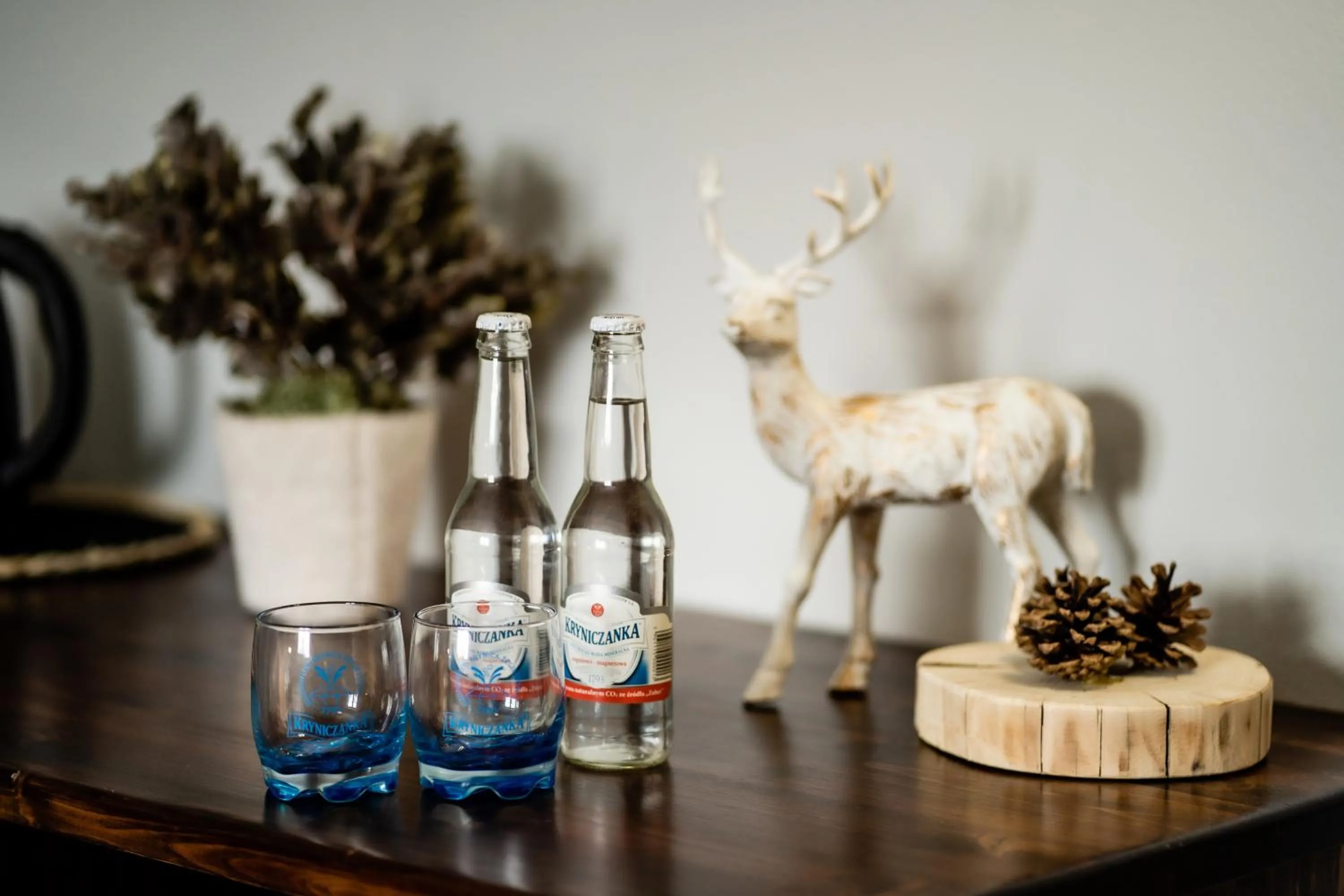 Food and drinks in Zapotoczny Residence