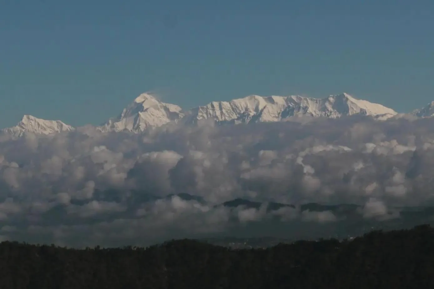 Day in THE FOX RETREAT