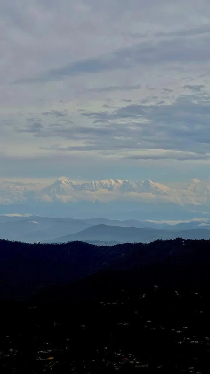 Day in THE FOX RETREAT