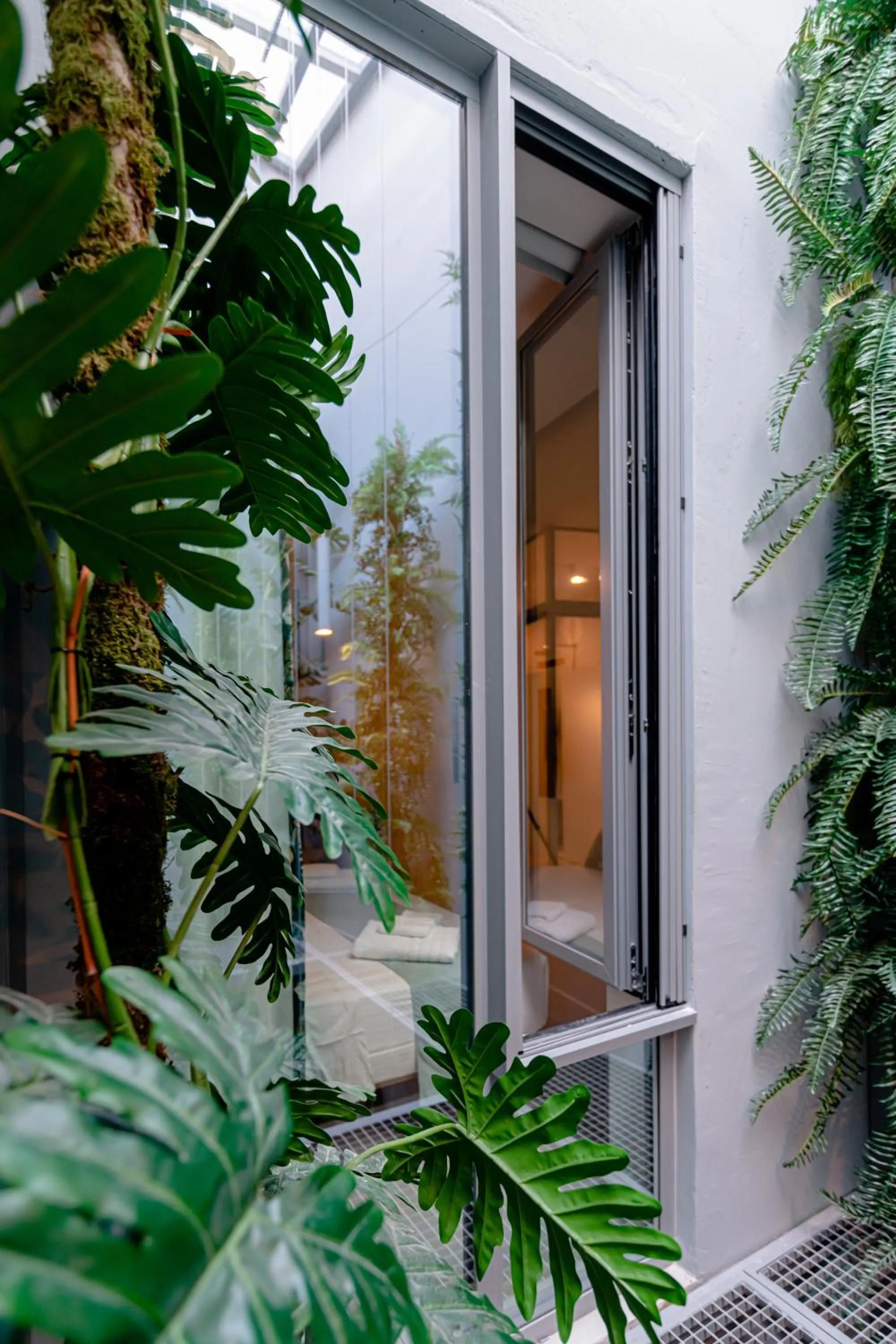 Garden view in Ciel Suites Athens