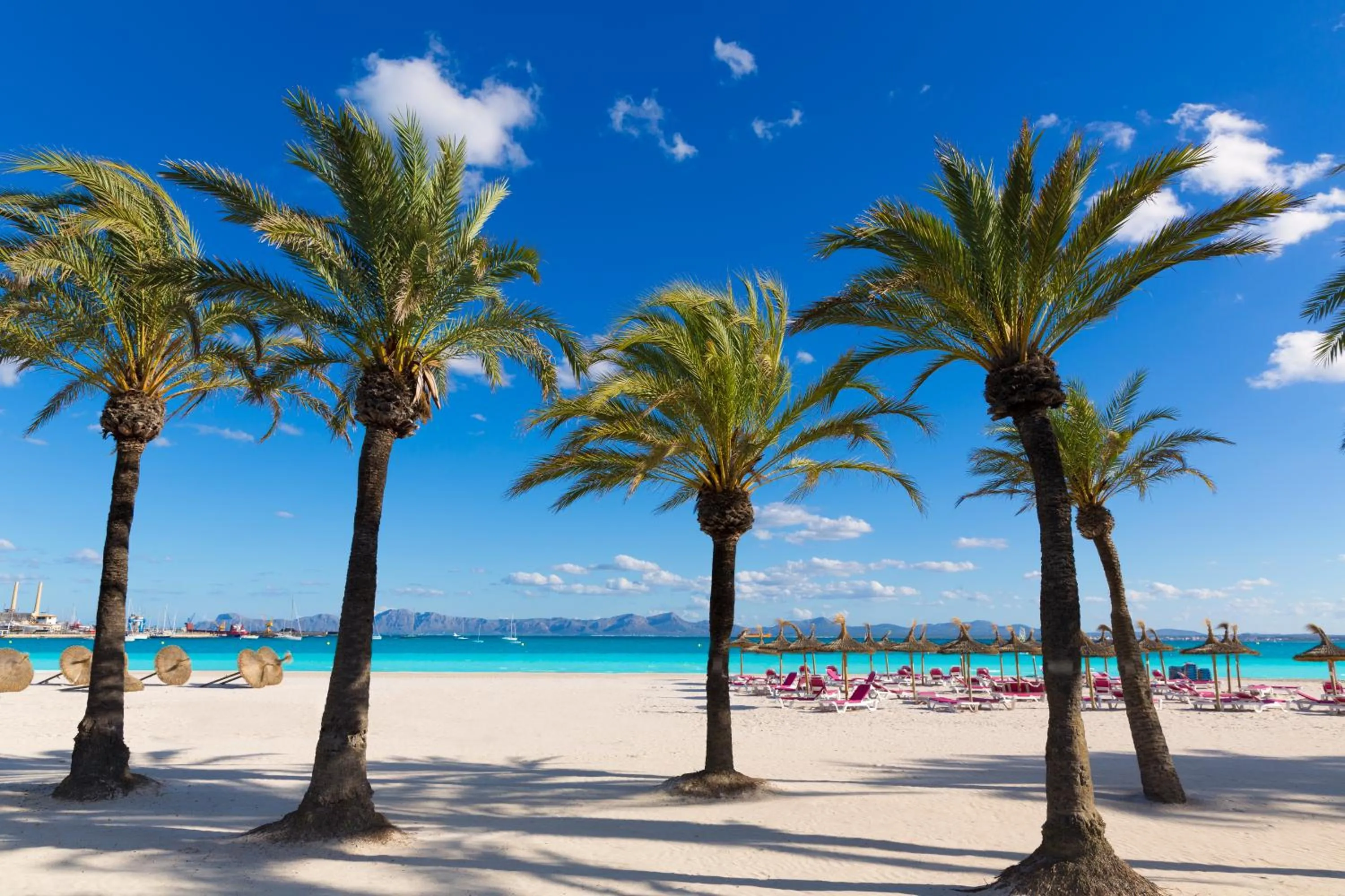 Beach in Alcudia Garden Aparthotel