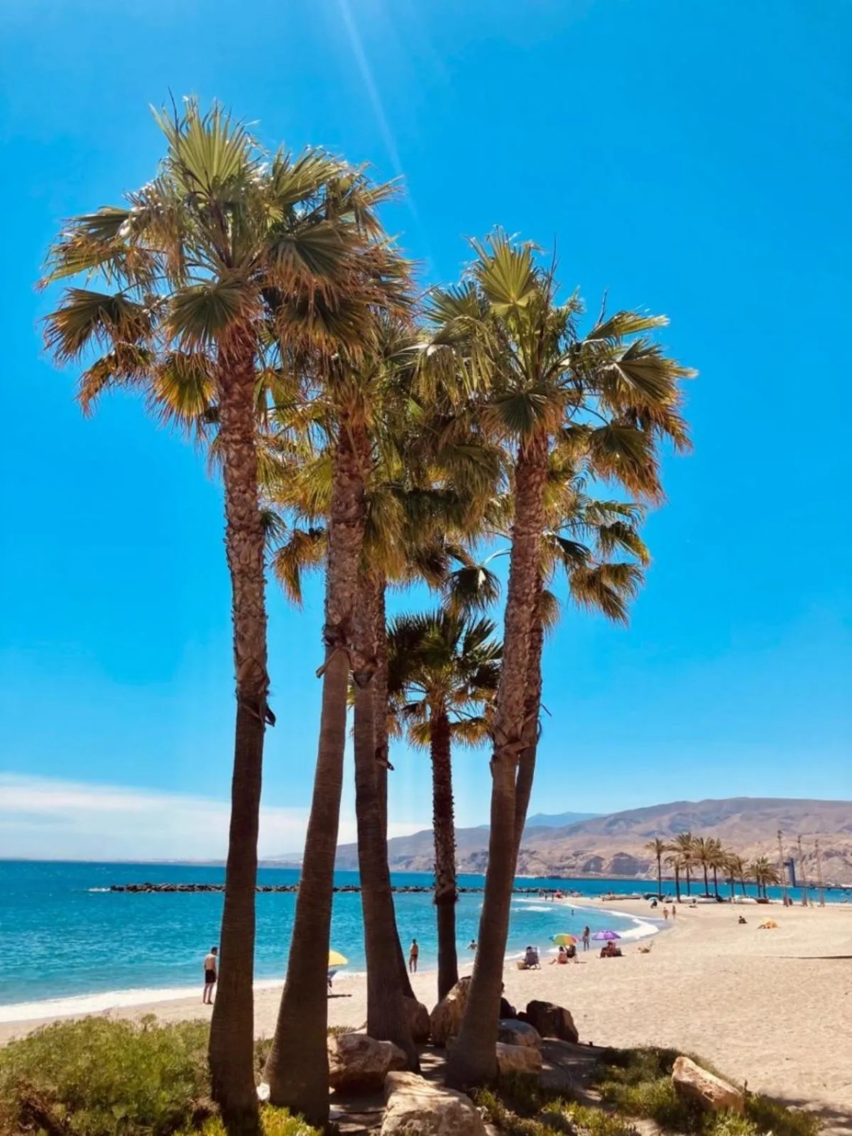 Spring in Hotel Sol Almería