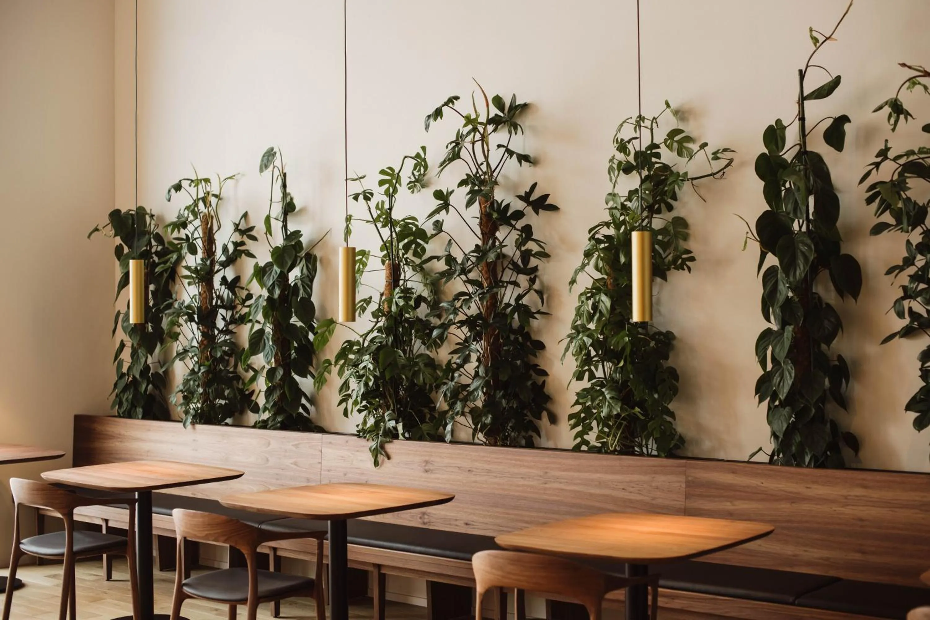 Restaurant/places to eat in Stoos Lodge