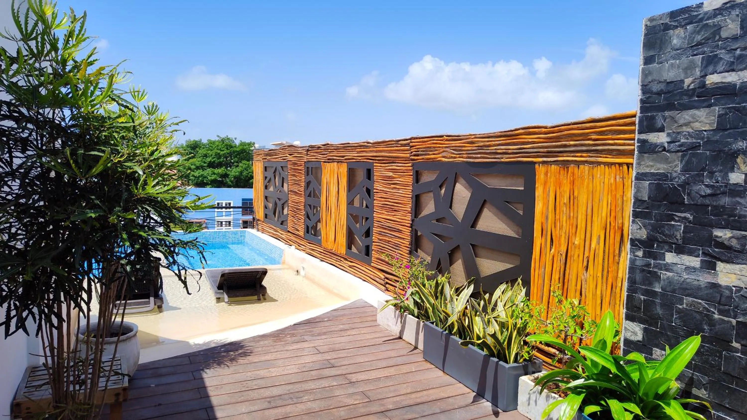 Solarium in Emiliano 42 Condos Boutique