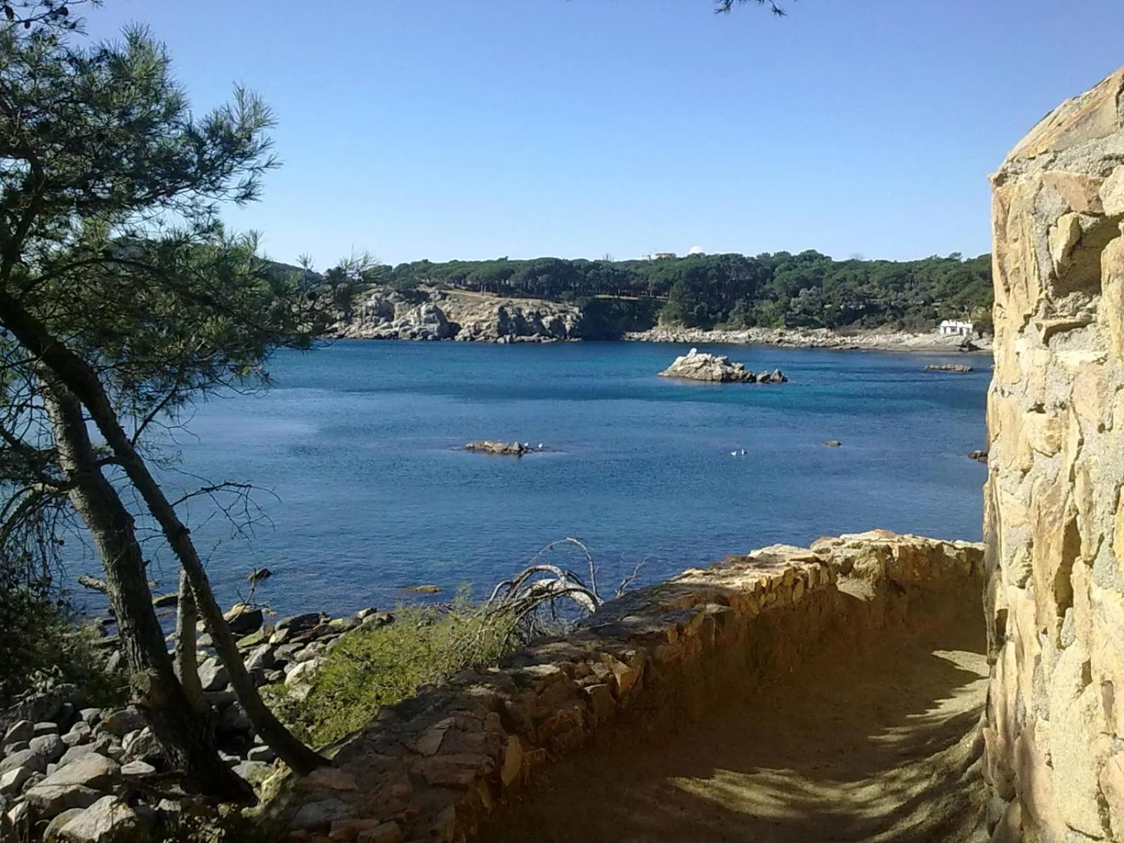 Natural landscape in Hotel Ancora