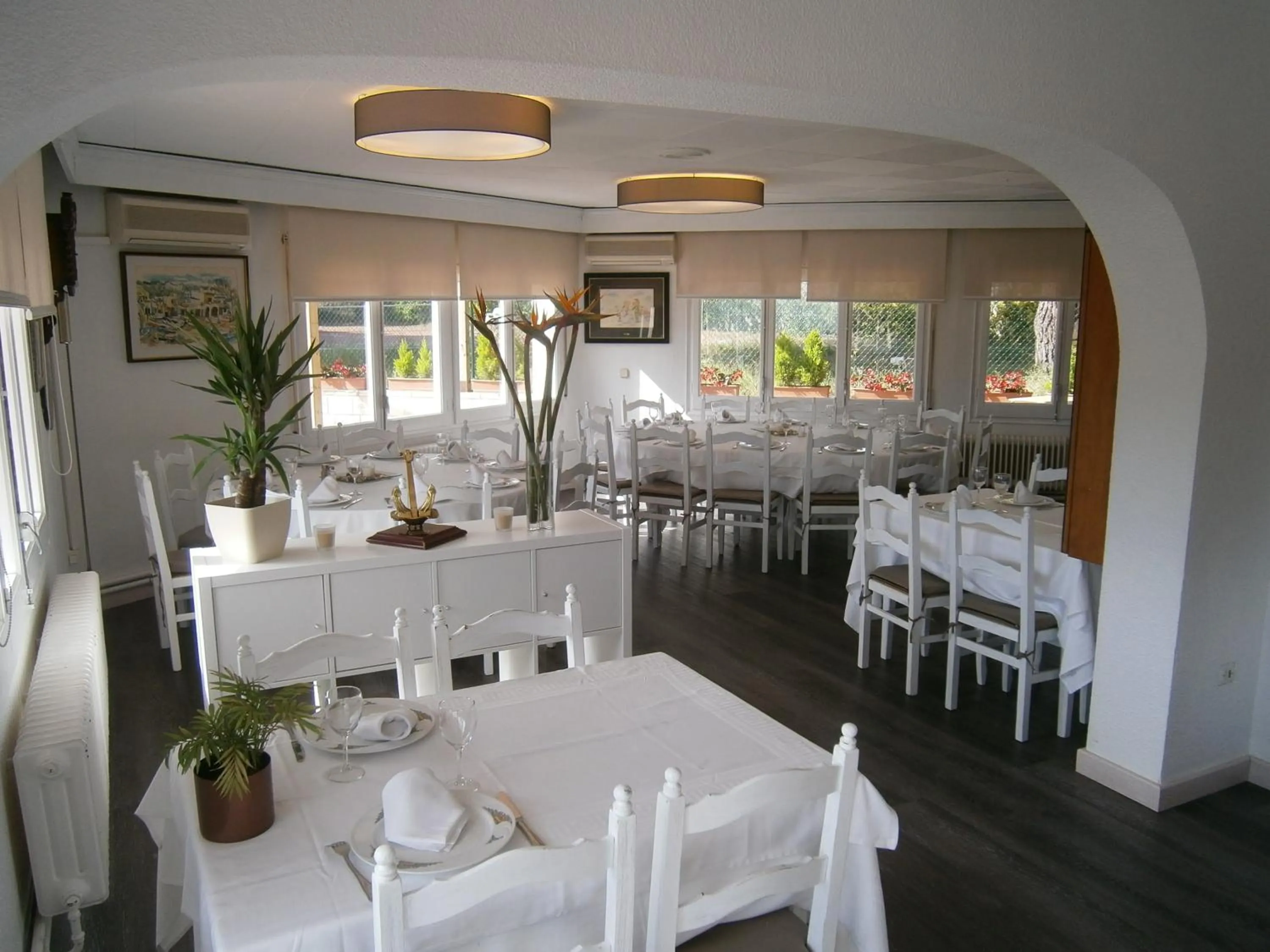 Dinner in Hotel Ancora