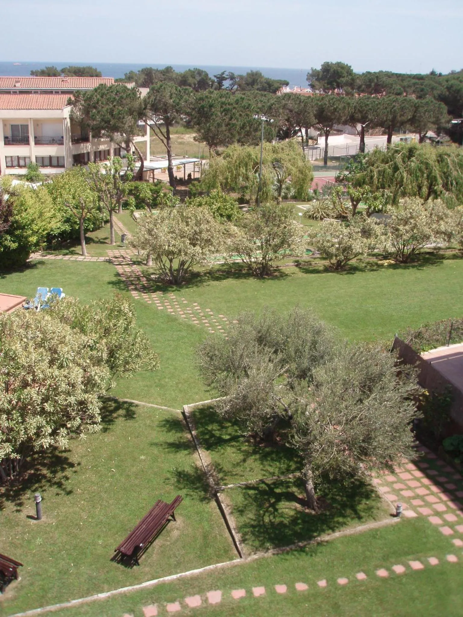 Garden in Hotel Ancora