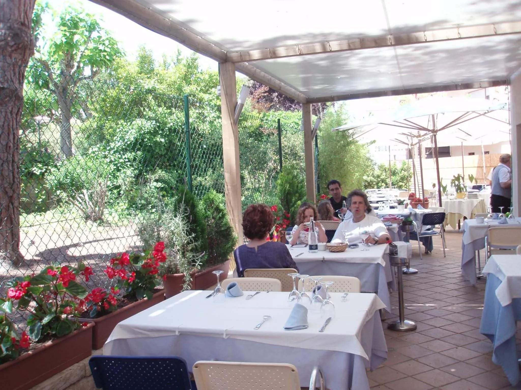 Restaurant/places to eat in Hotel Ancora