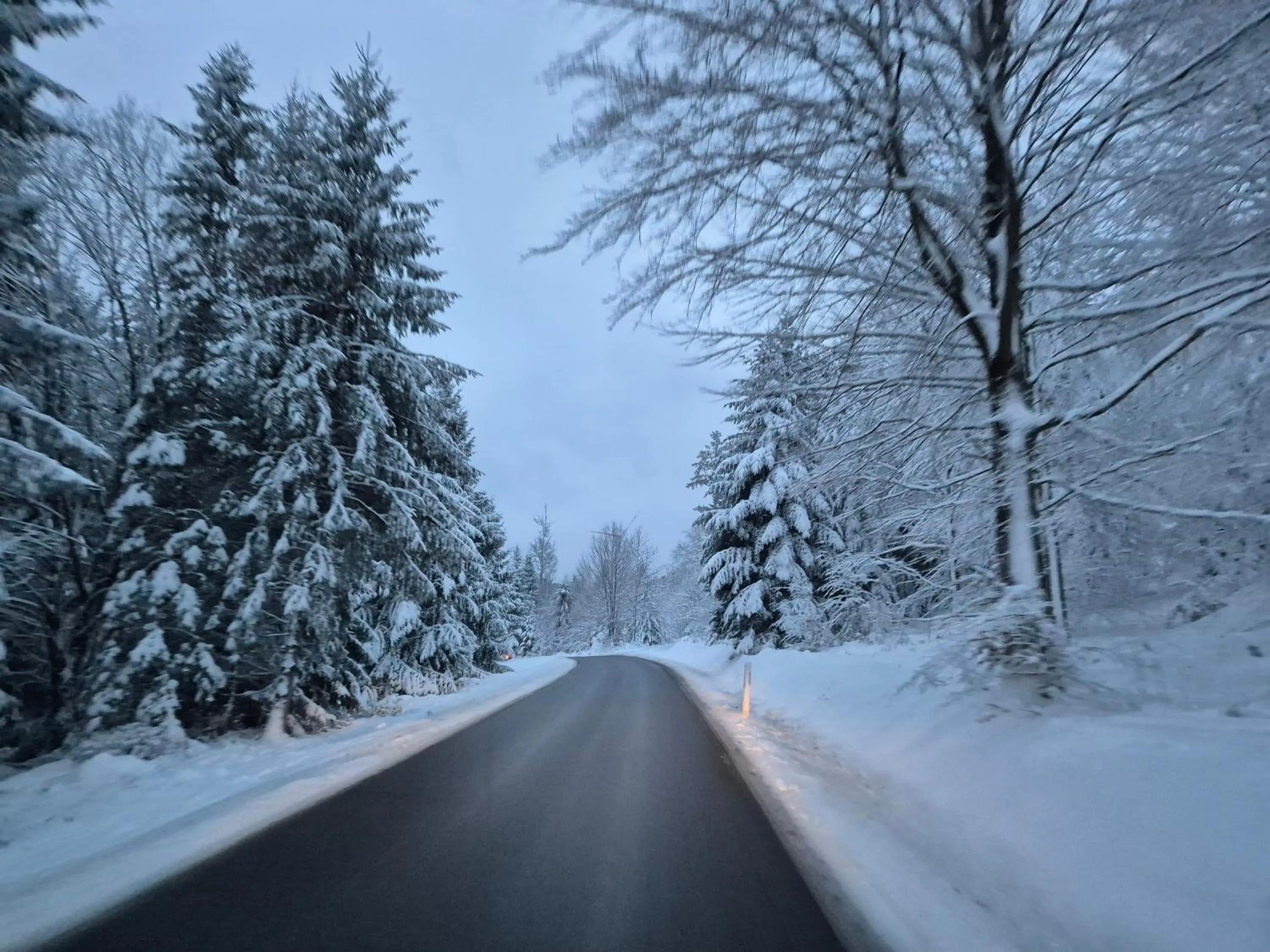 Area and facilities in Hotel Schönblick