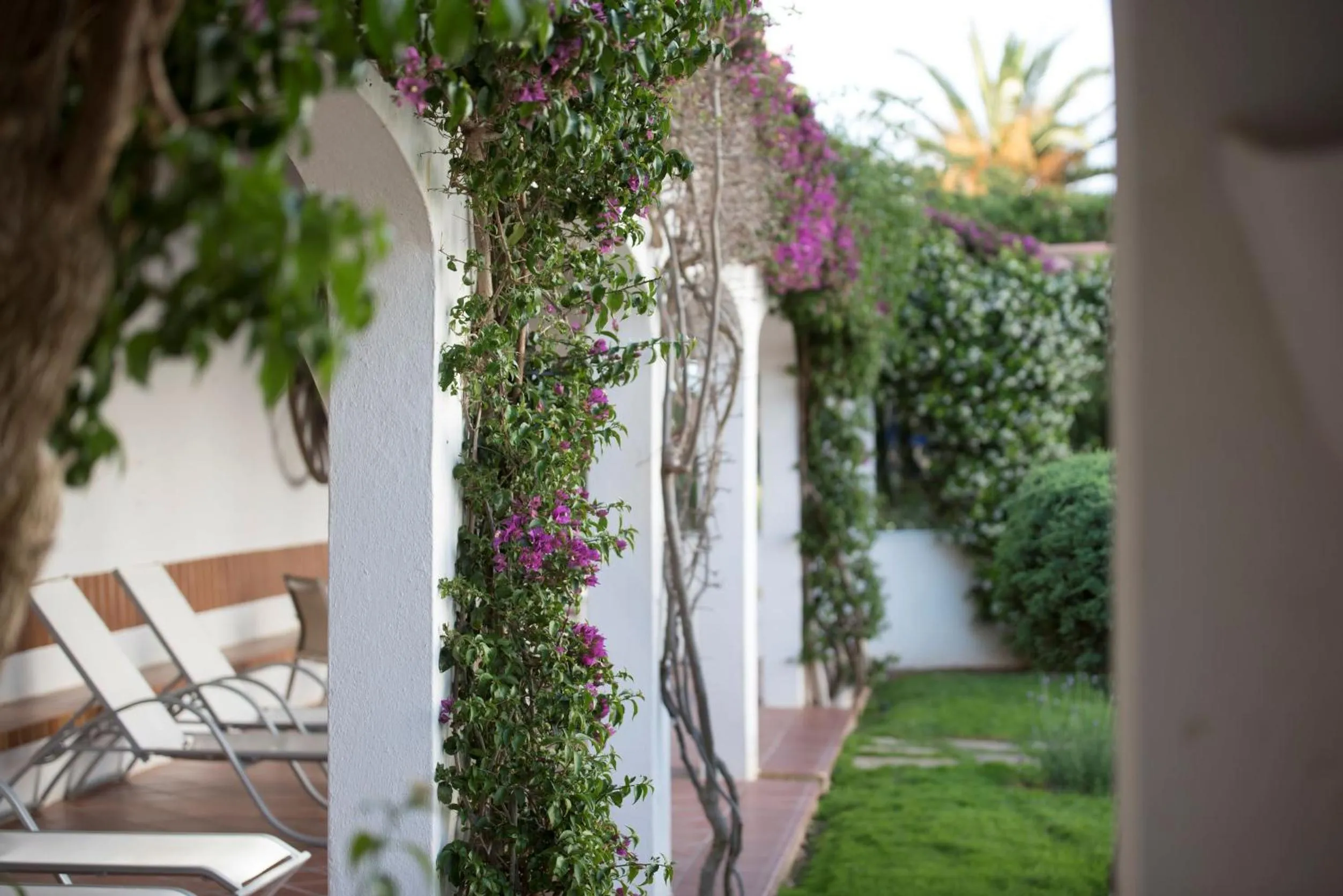Garden in Hotel Agamenón