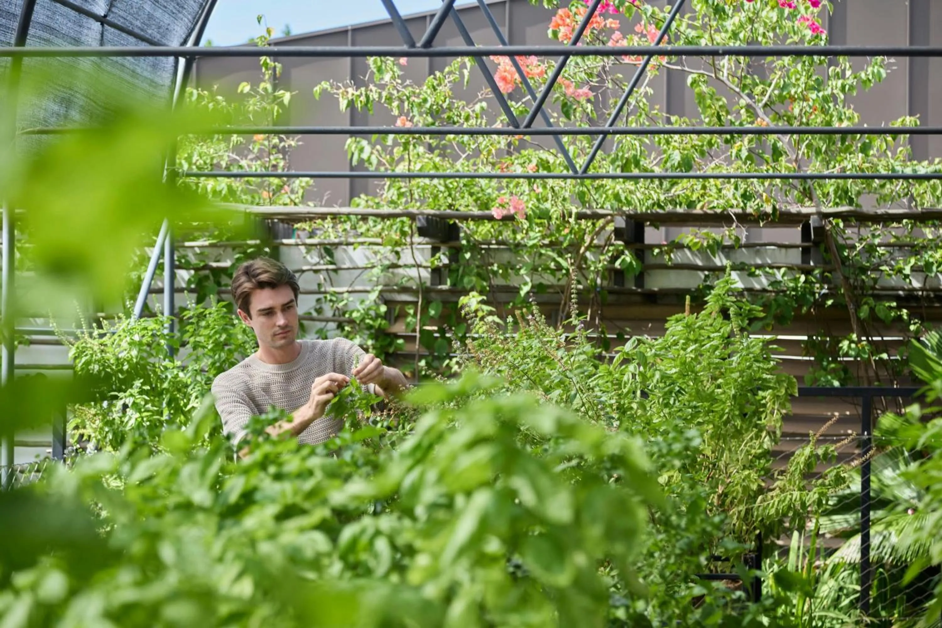 Other in laïla, Seychelles, a Tribute Portfolio Resort