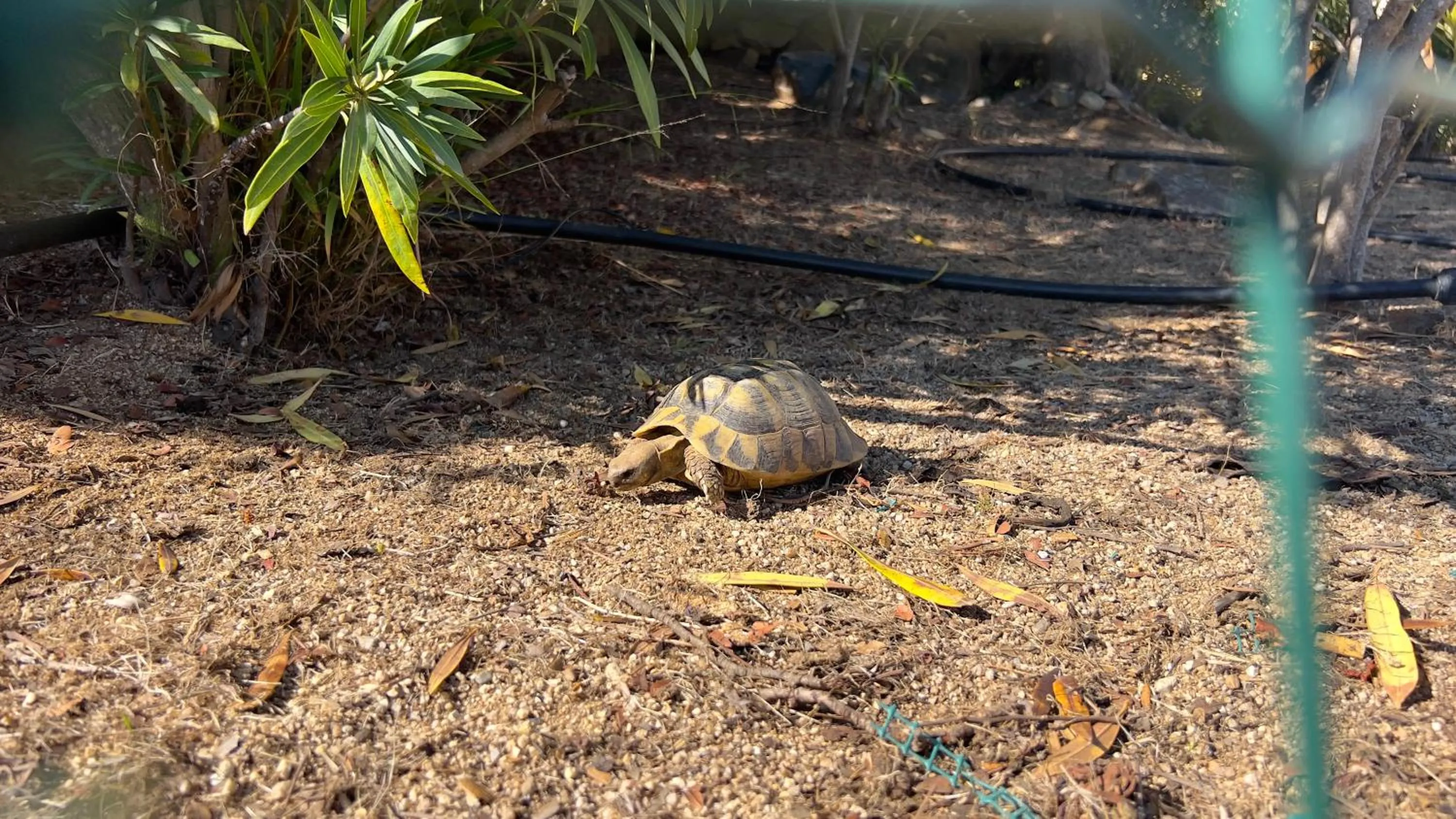 Torre delle Stelle Residence