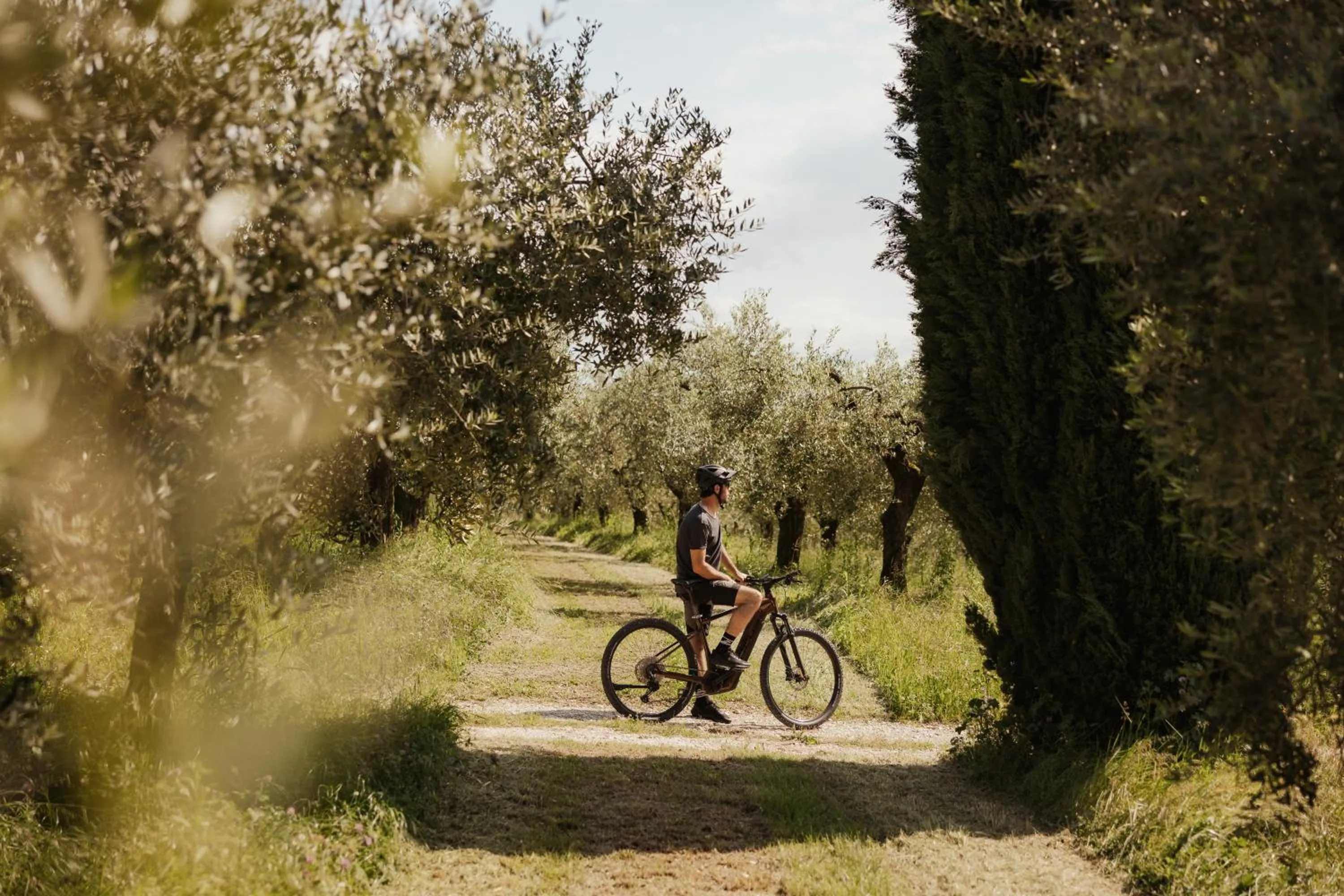 Cycling in Cape of Senses