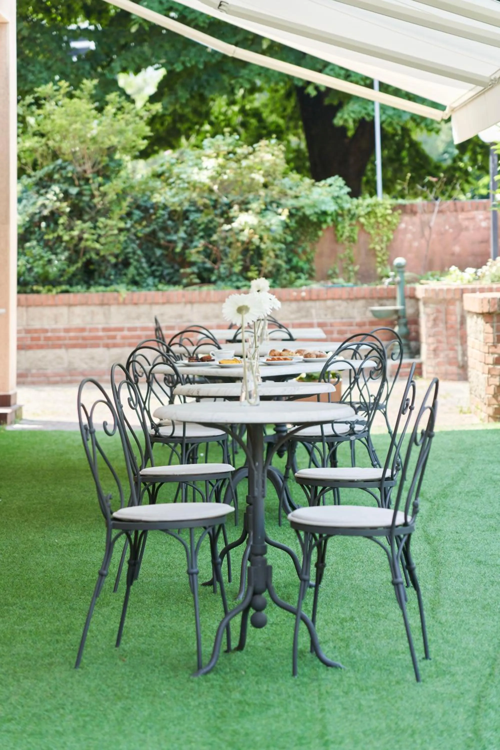 Garden in Hotel Cyrano