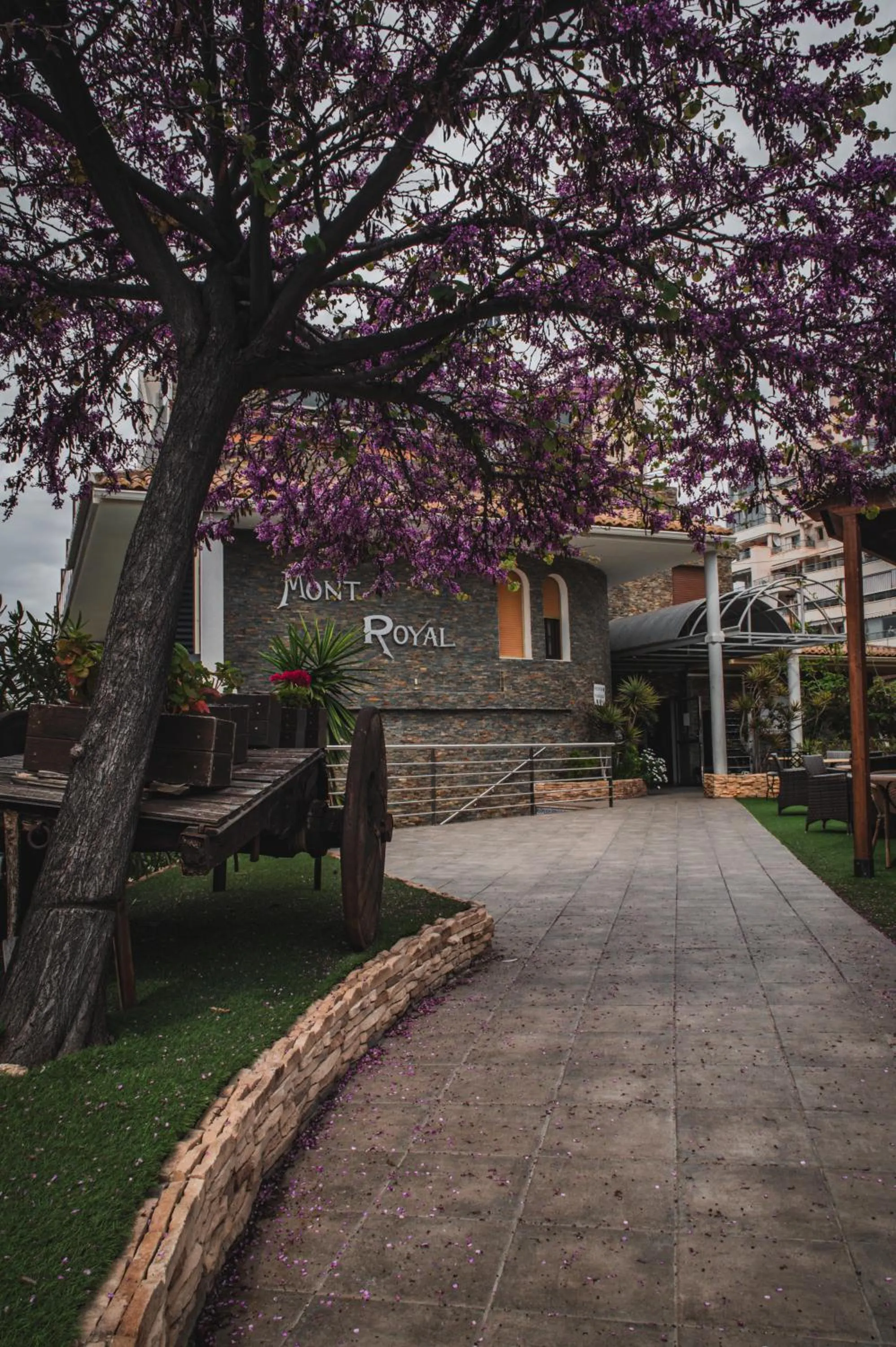 Hostal Mont Royal