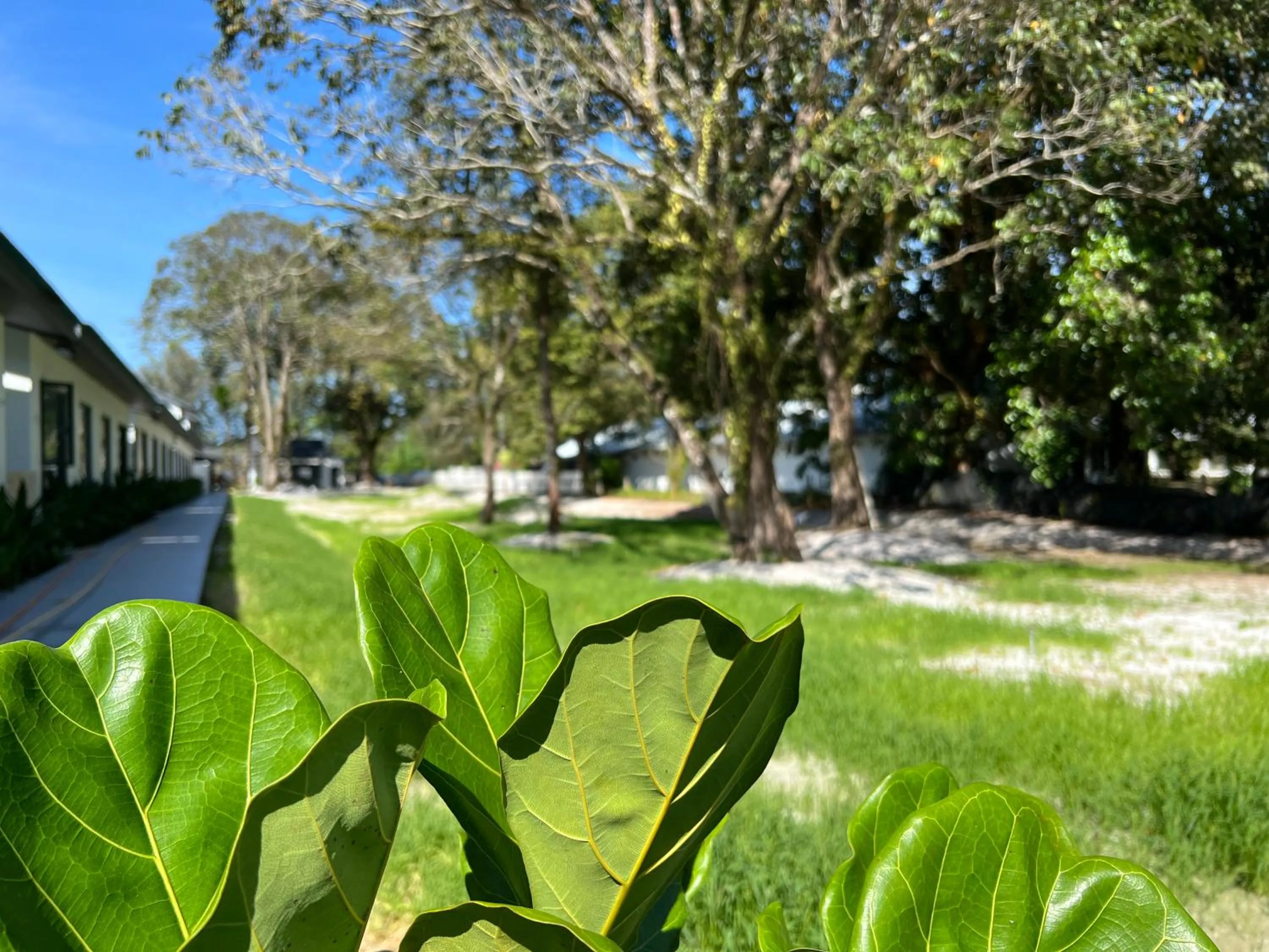 Day in Looma Private Pool Villas